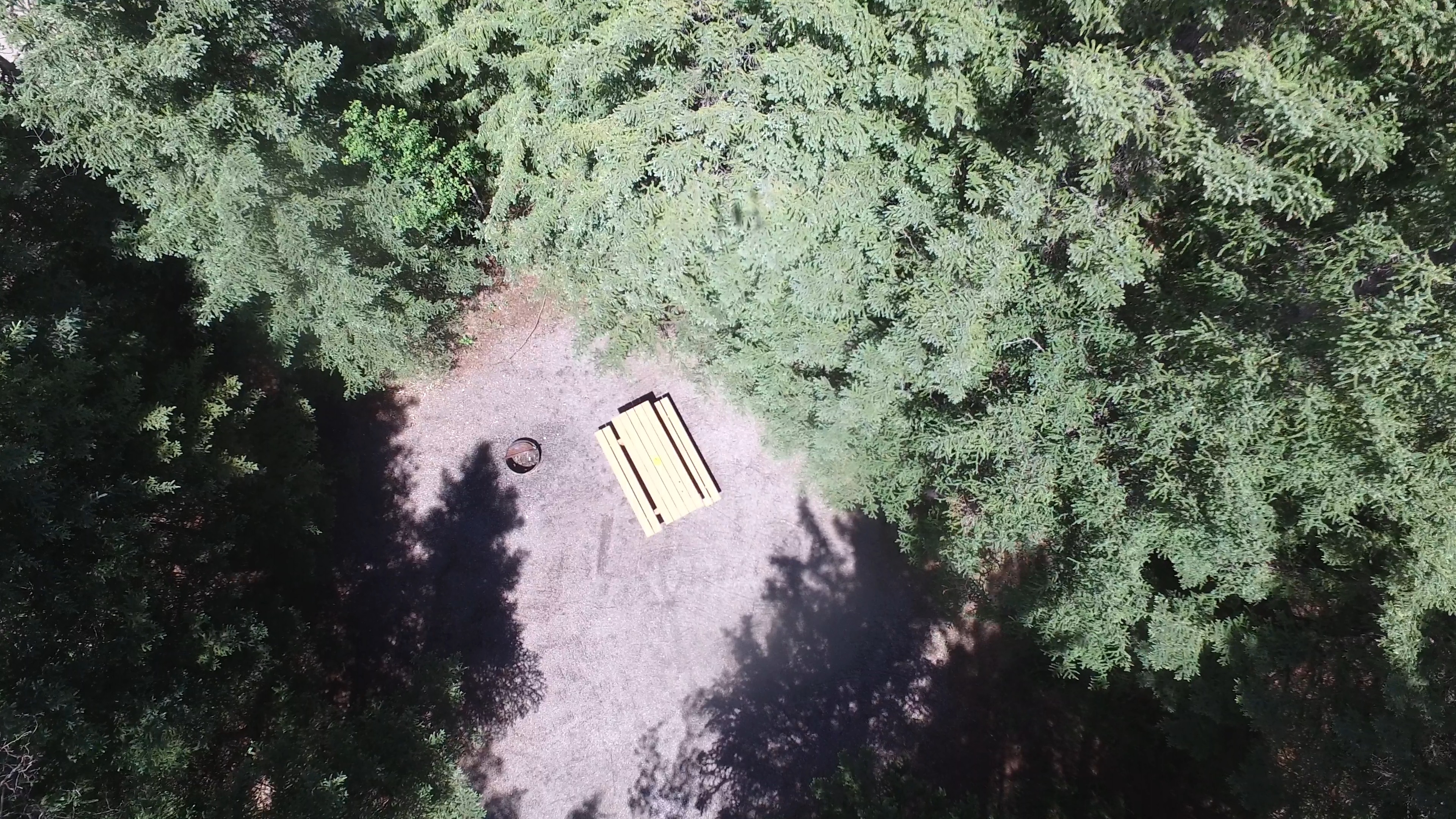 Campsite 11 in Loop A