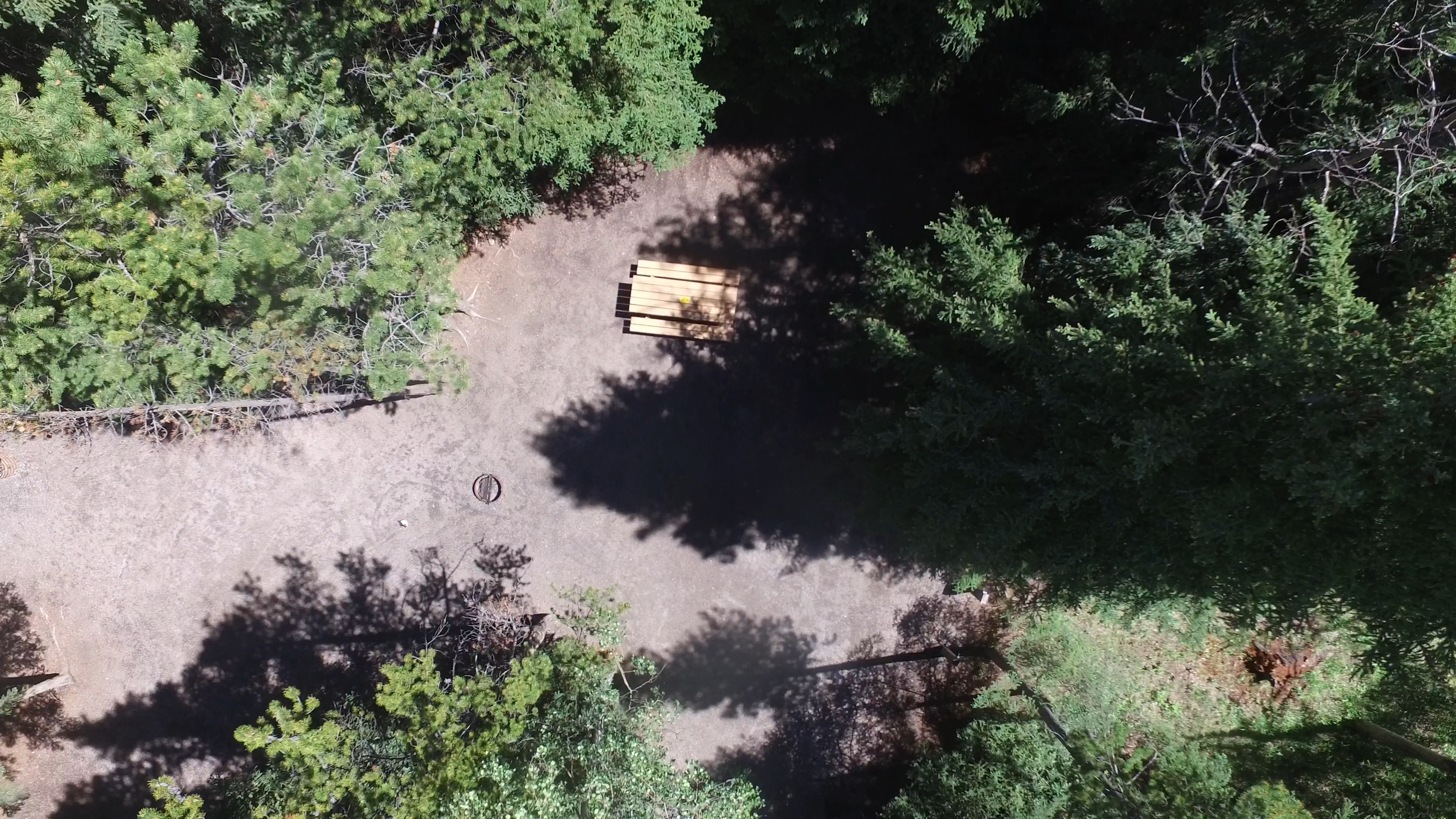 Campsite 12 in Loop A