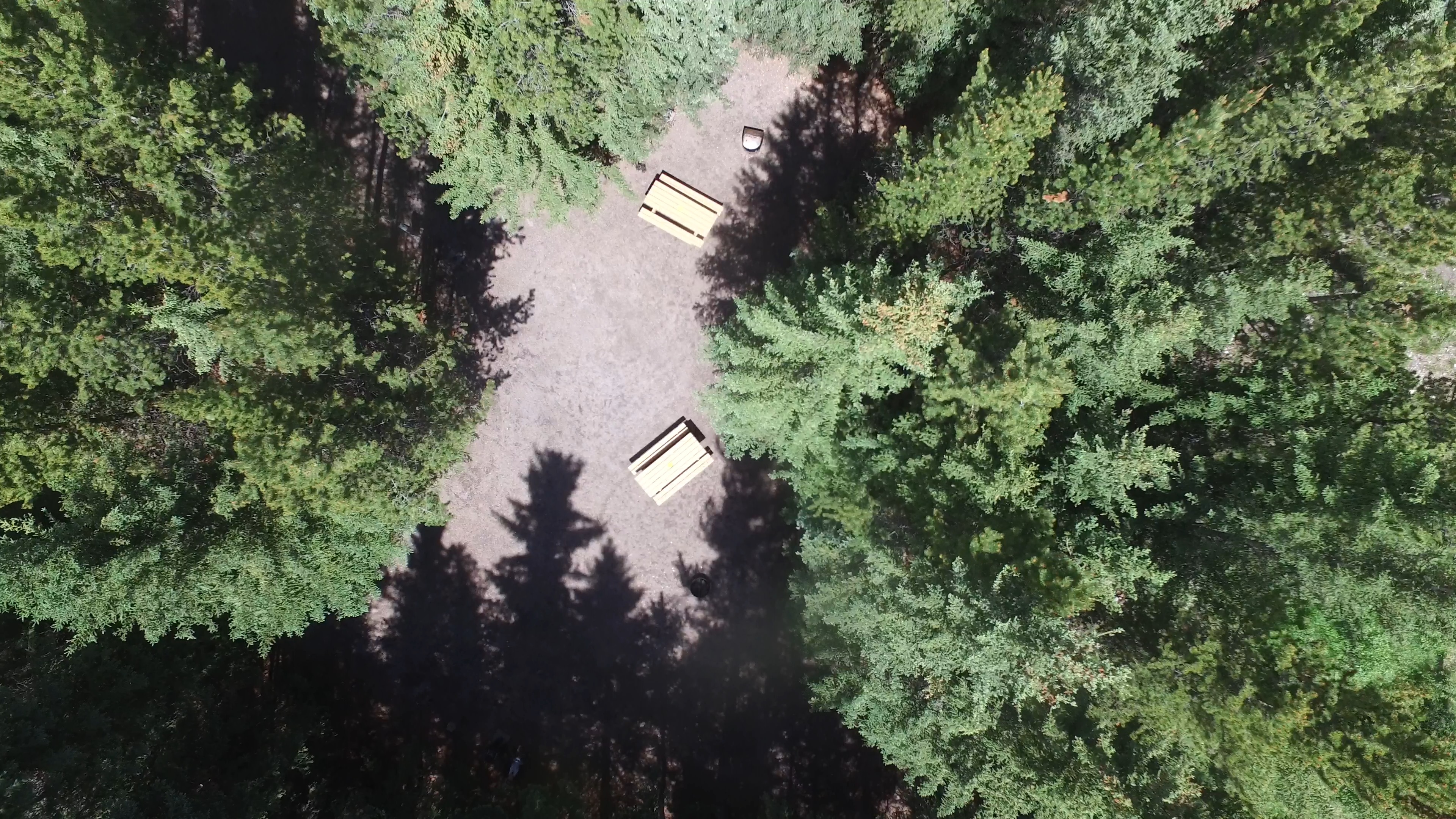 Campsite 14 in Loop A
