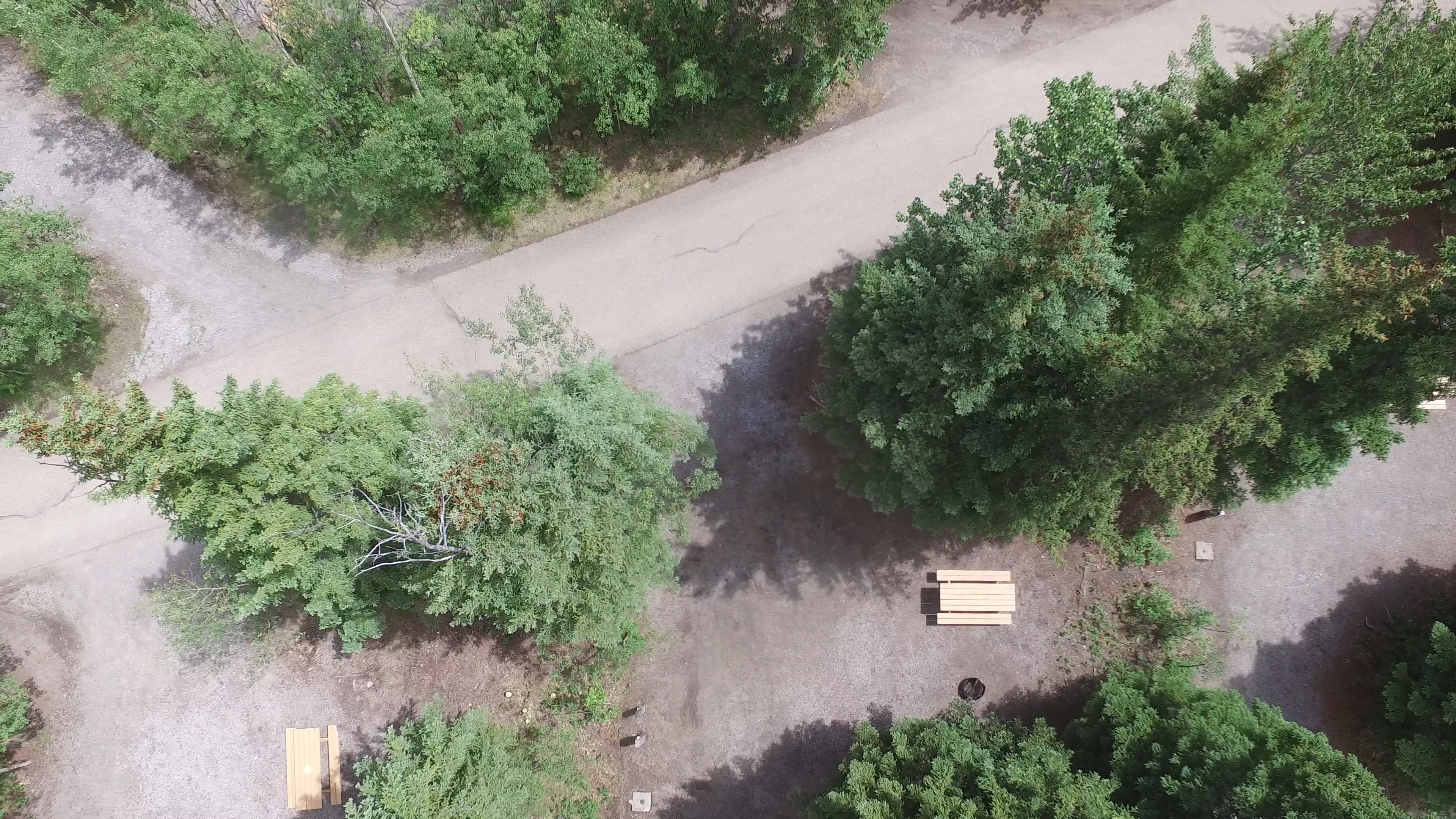 Campsite 20 in Loop A