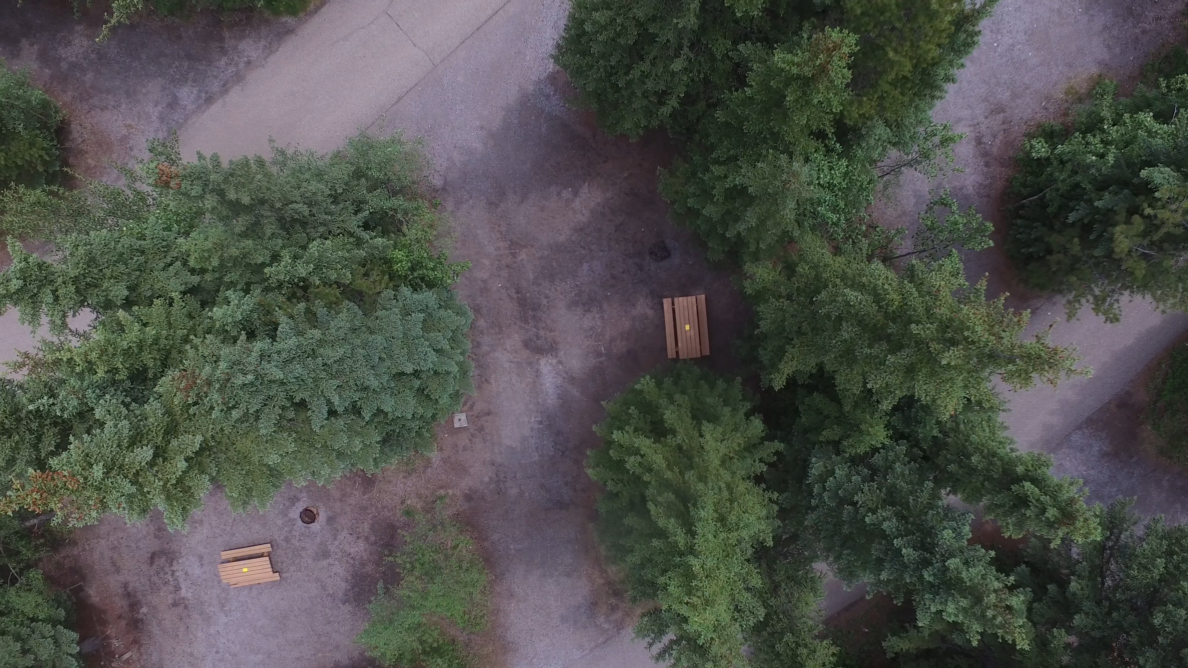 Campsite 24 in Loop A