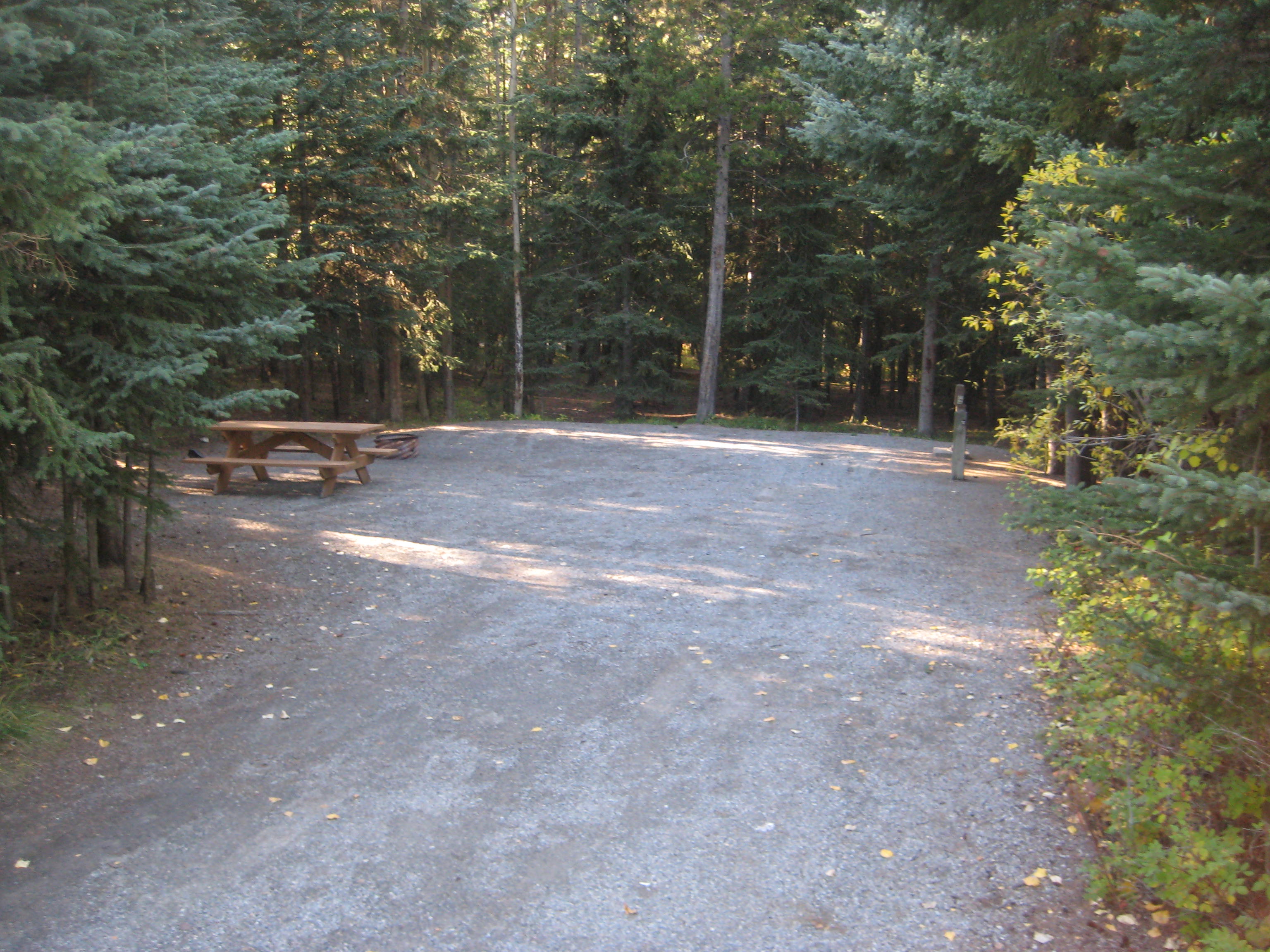 Campsite 31 in Loop A