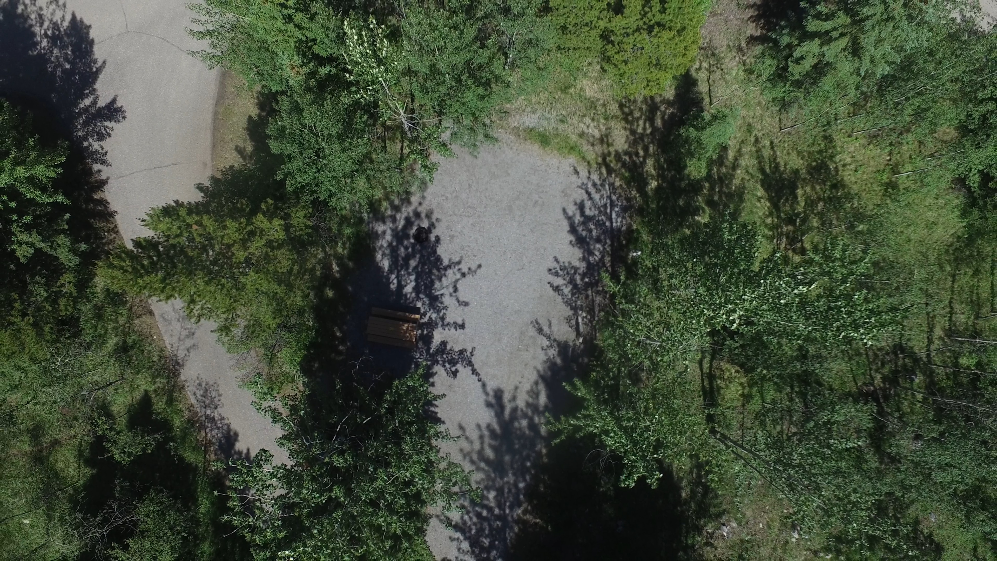 Campsite 1 in Loop B