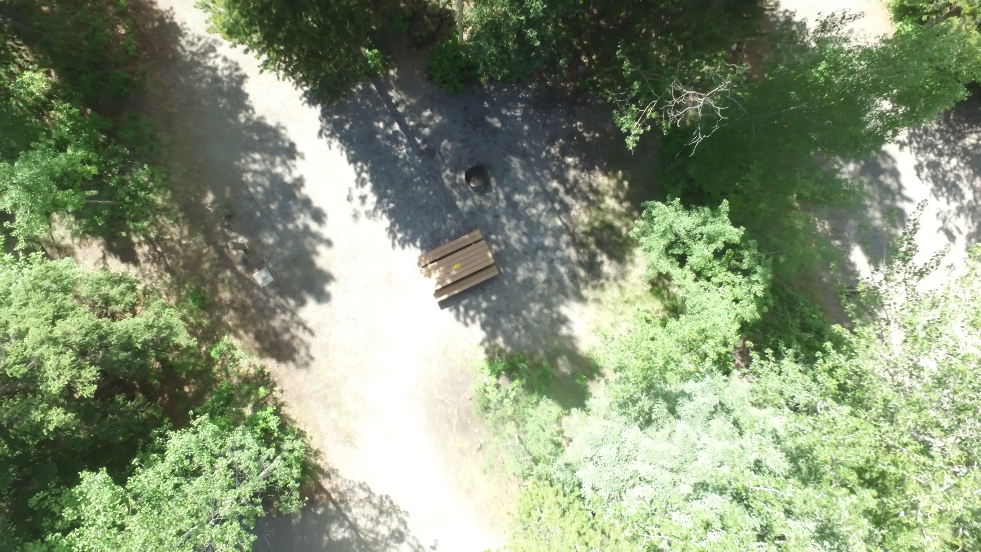 Campsite 10 in Loop B
