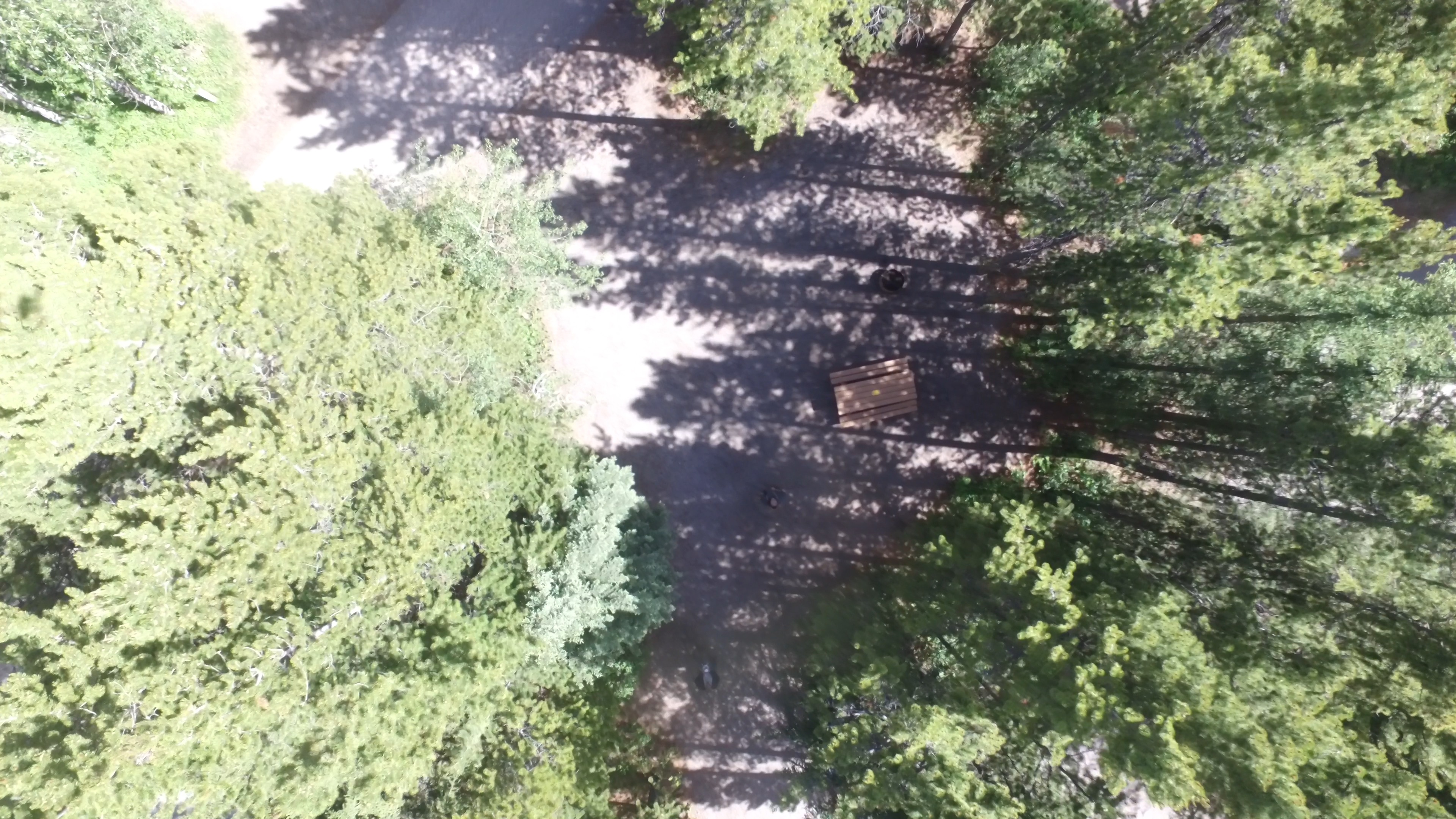 Campsite 11 in Loop B