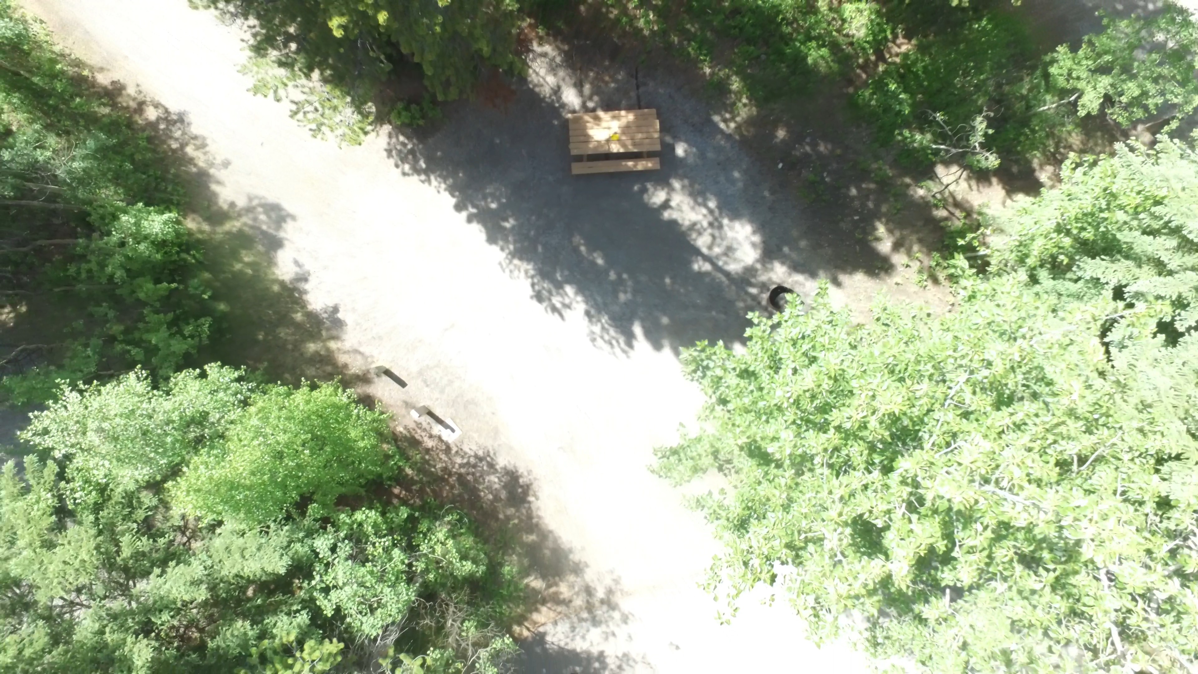 Campsite 12 in Loop B