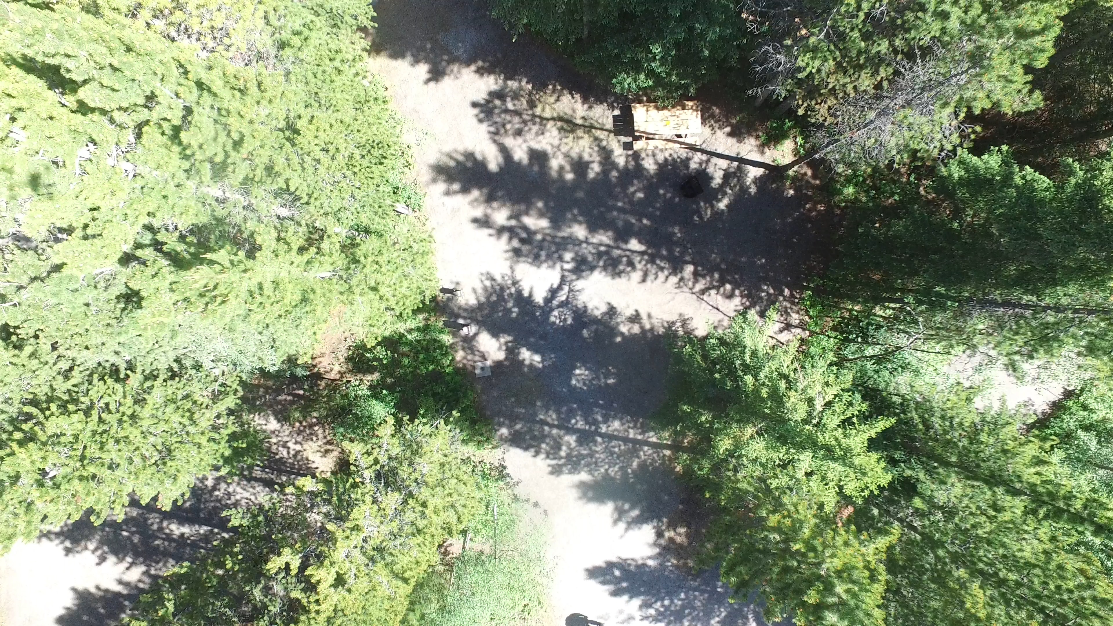 Campsite 13 in Loop B