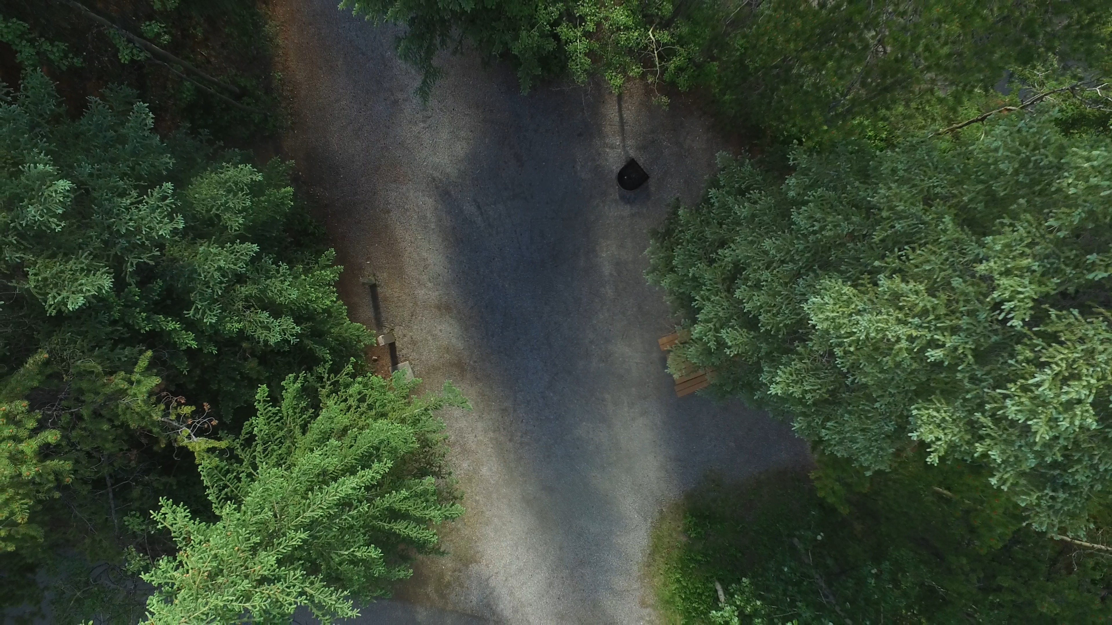 Campsite 16 in Loop B