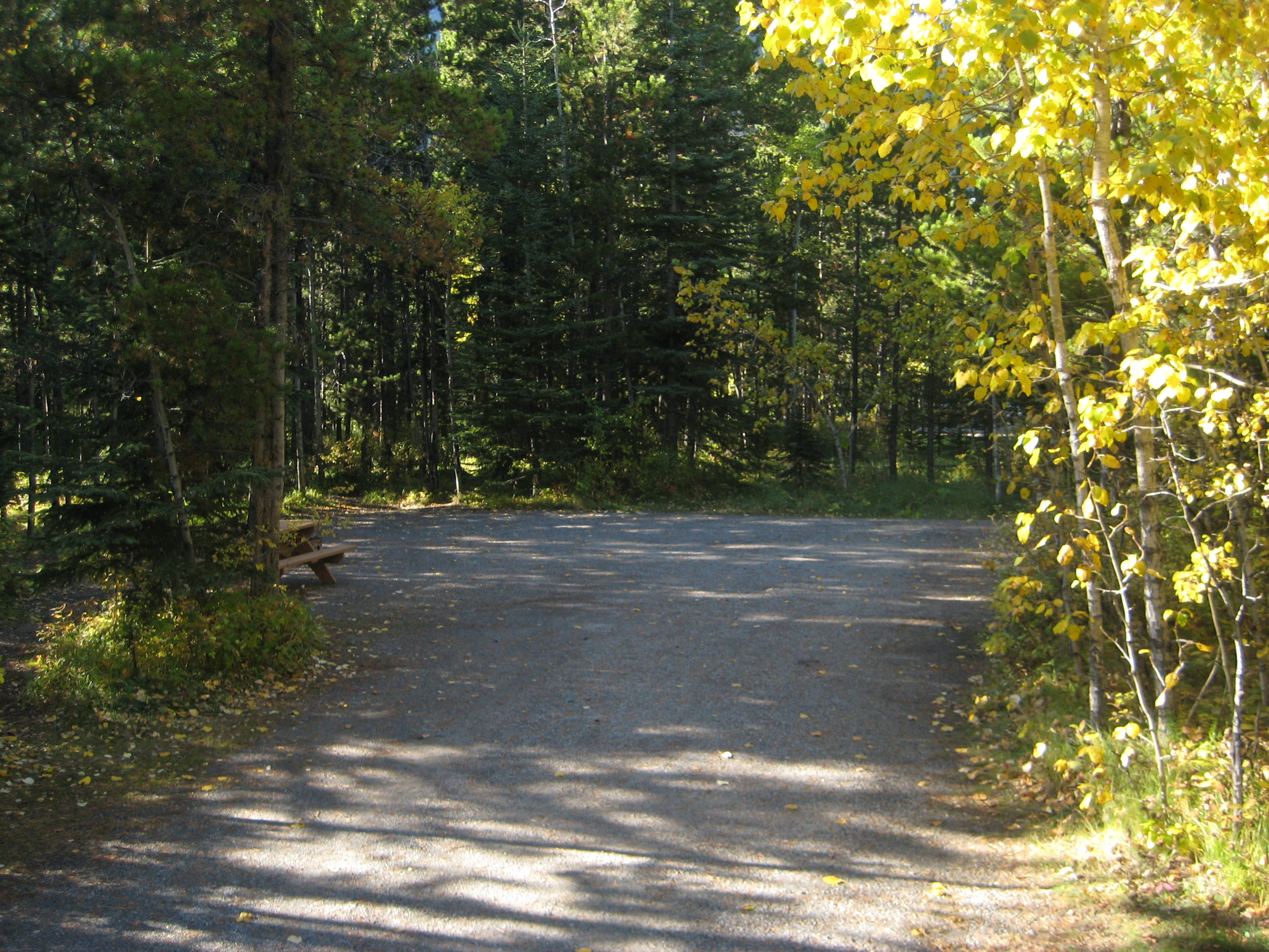 Campsite 24 in Loop B