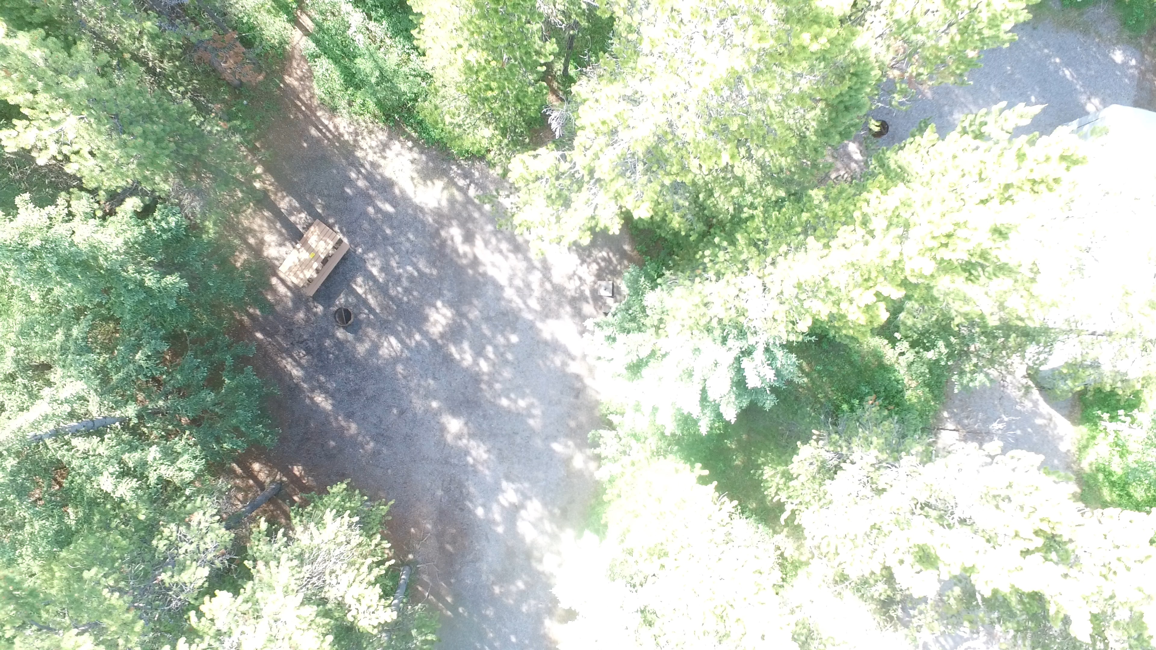 Campsite 25 in Loop B