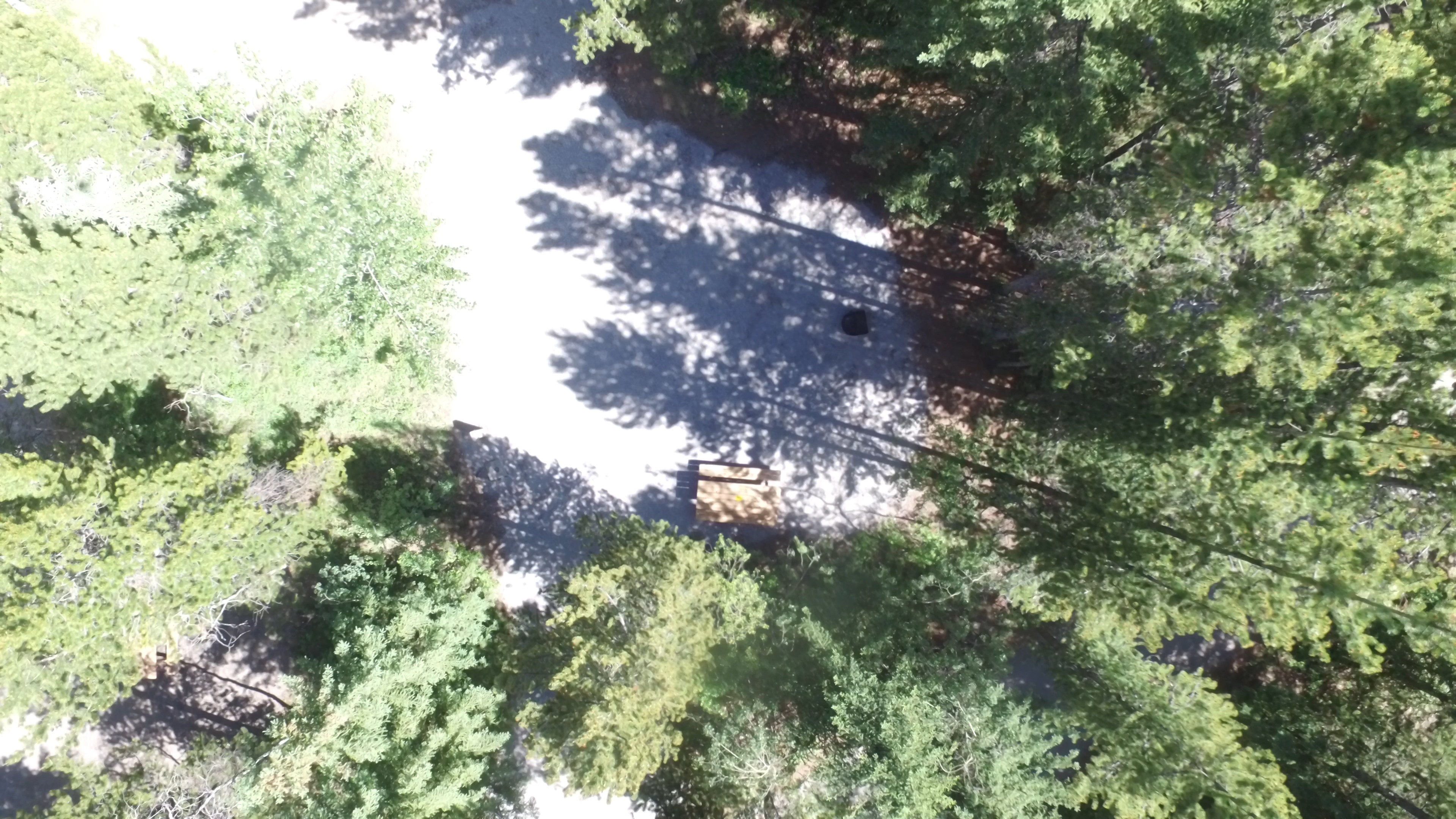Campsite 9 in Loop B