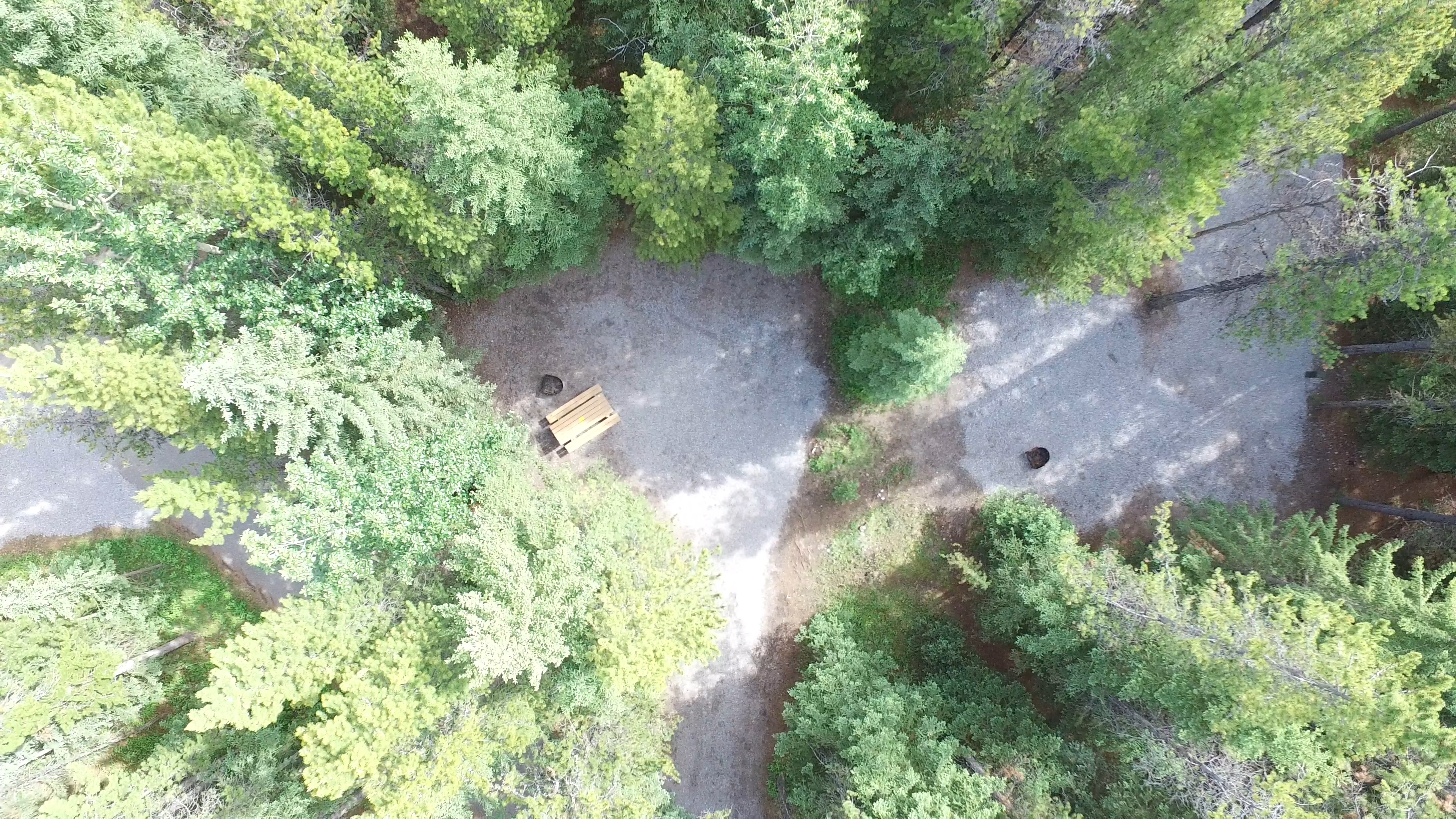 Campsite 10 in Loop C