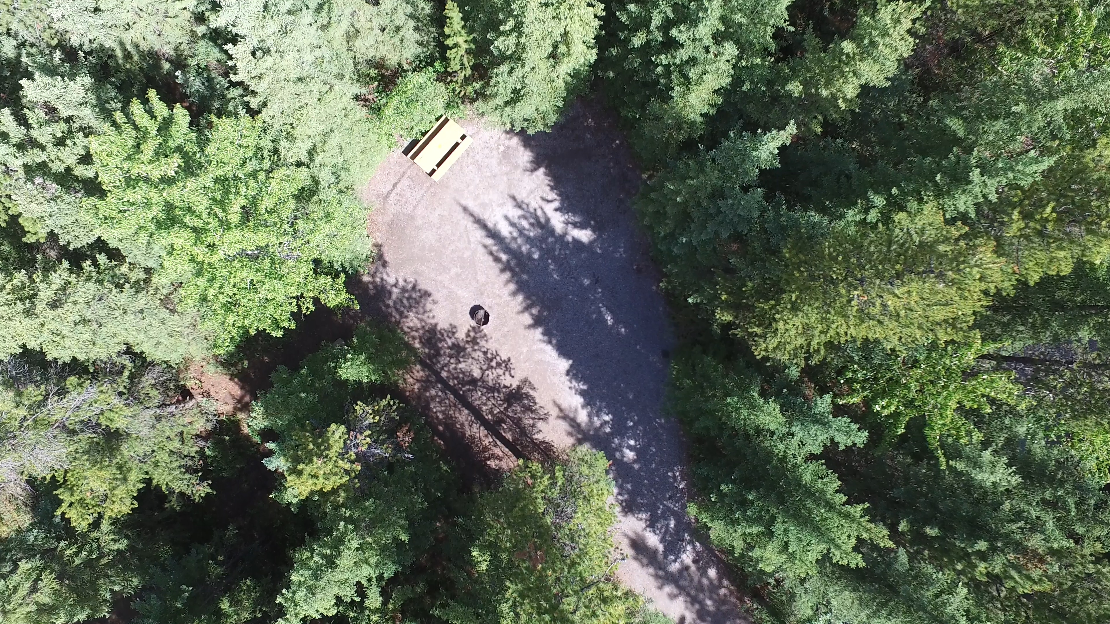 Campsite 16 in Loop C
