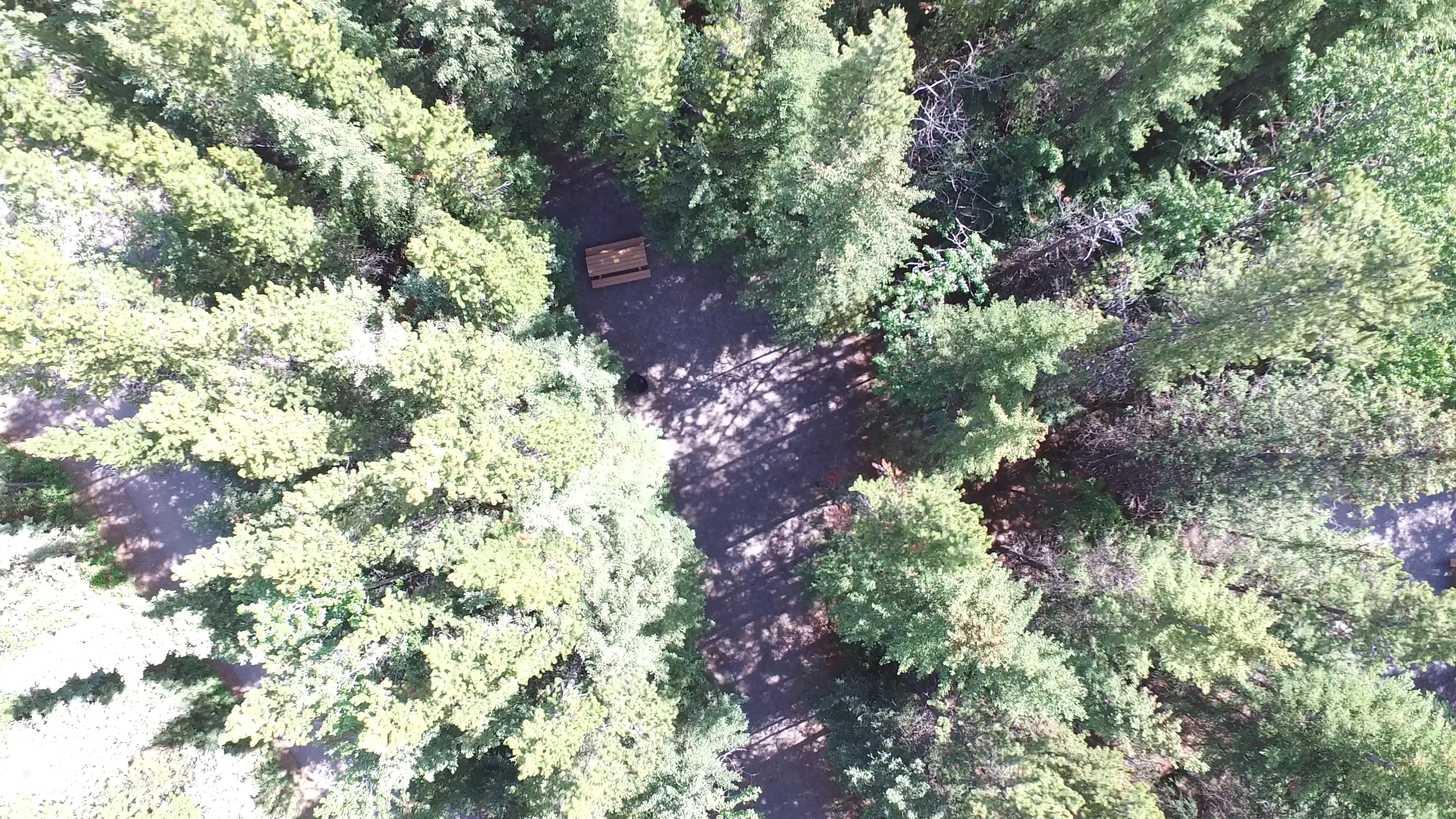 Campsite 17 in Loop C