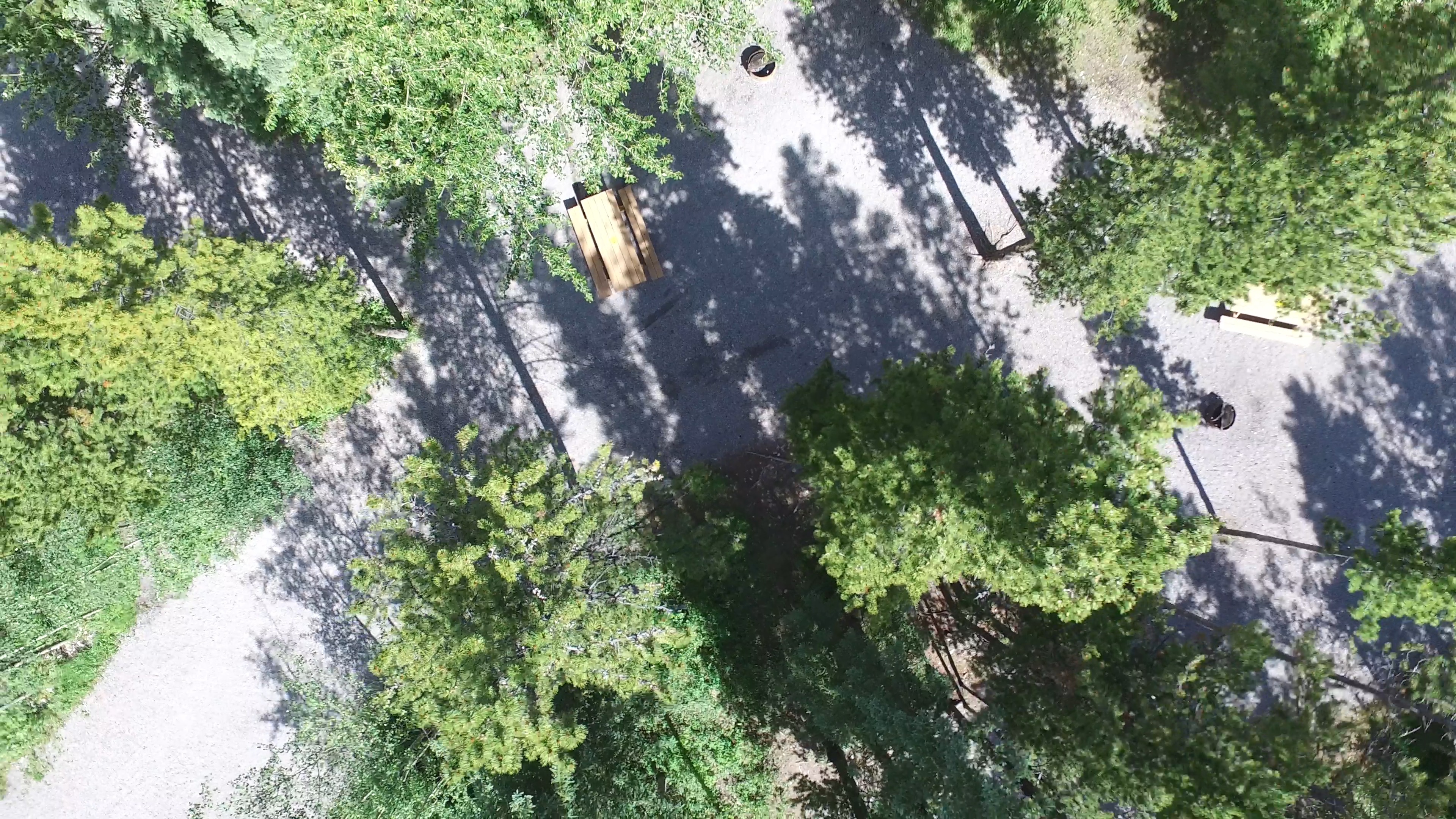 Campsite 19 in Loop C