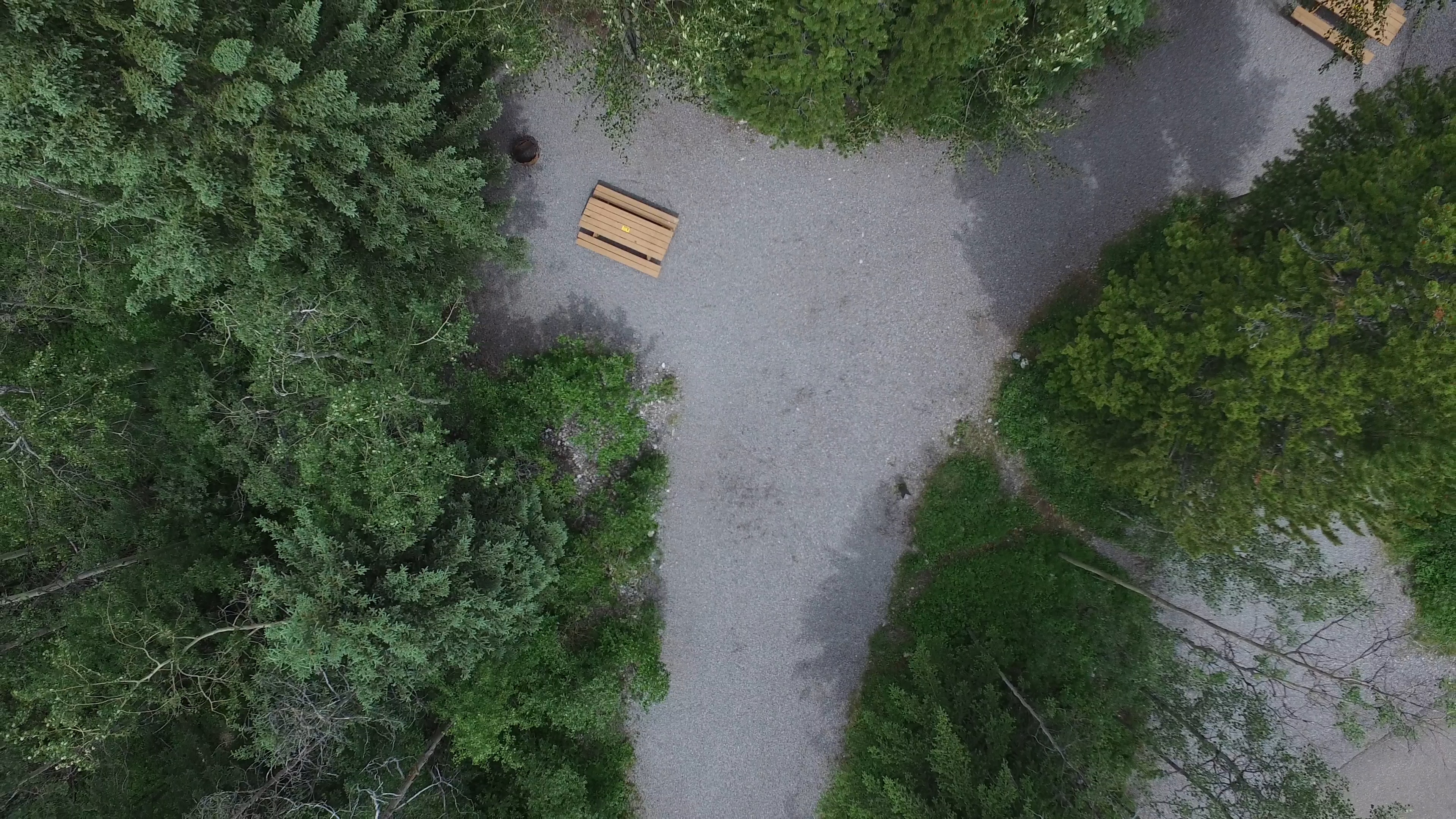 Campsite 20 in Loop C