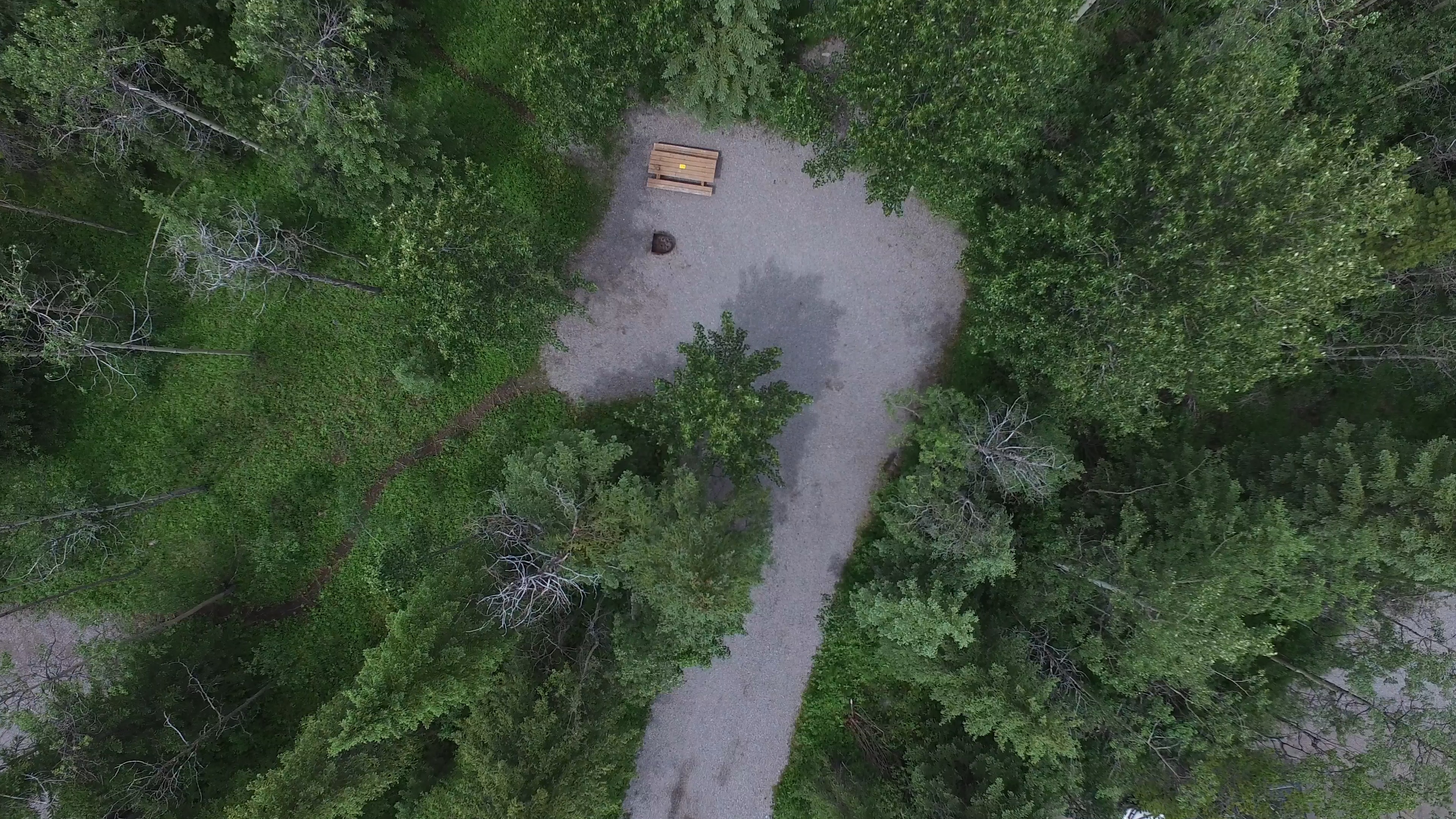 Campsite 21 in Loop C