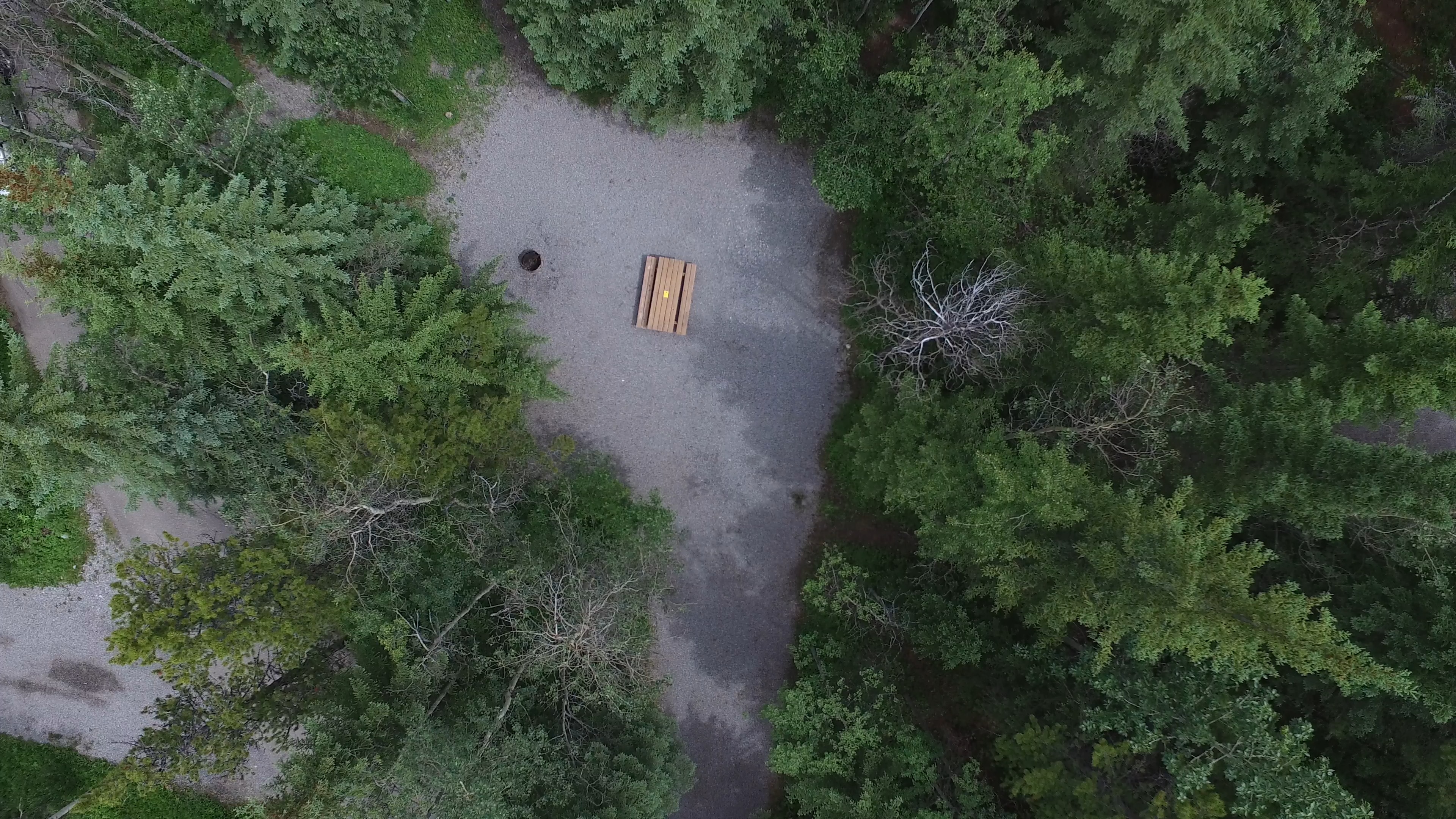 Campsite 22 in Loop C