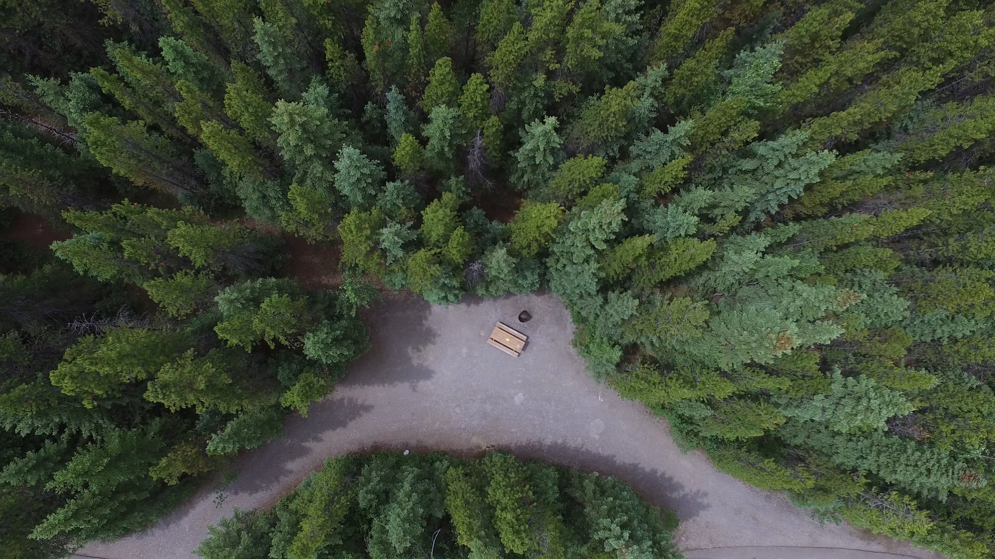 Campsite 26 in Loop C