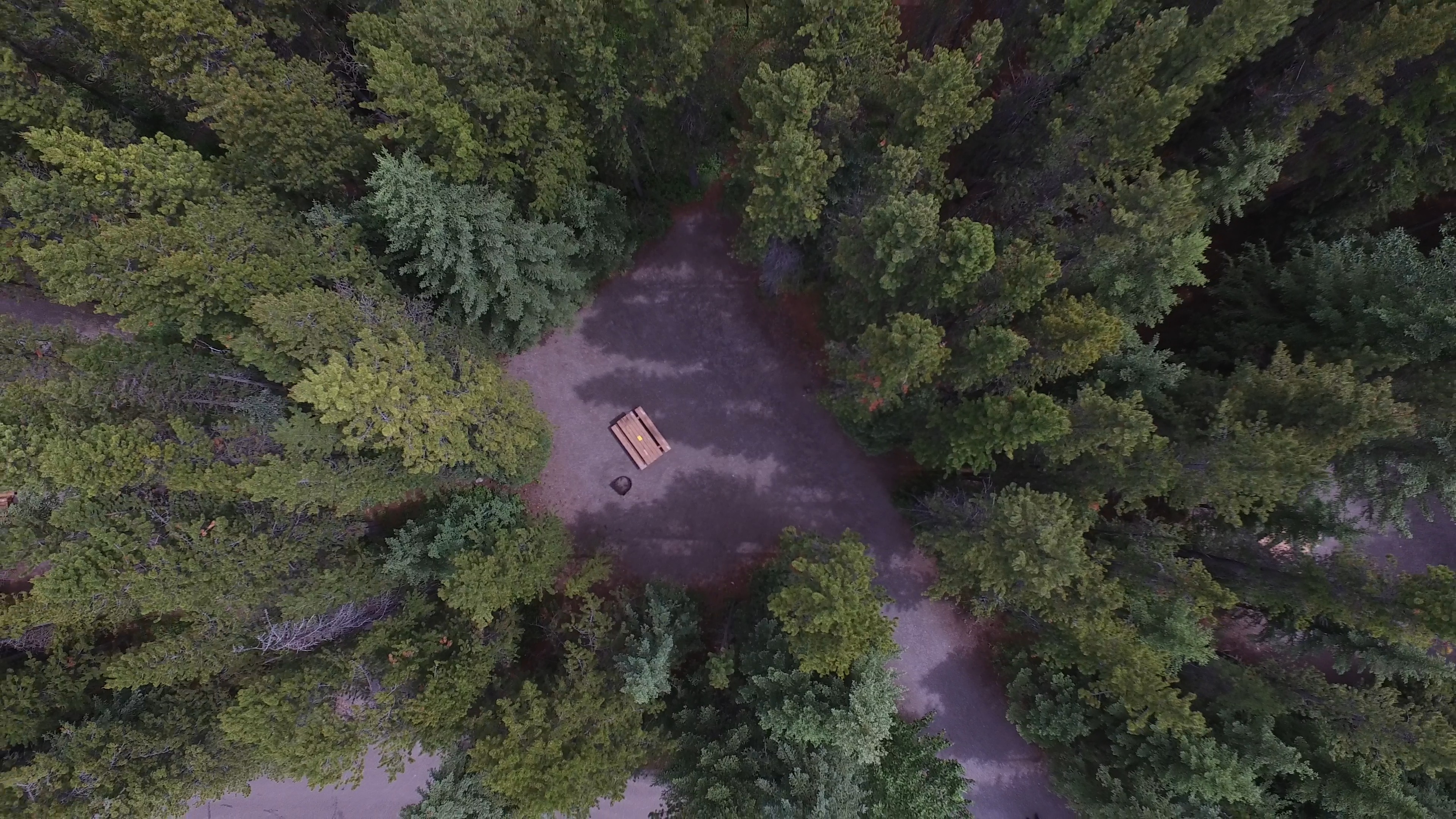 Campsite 28 in Loop C