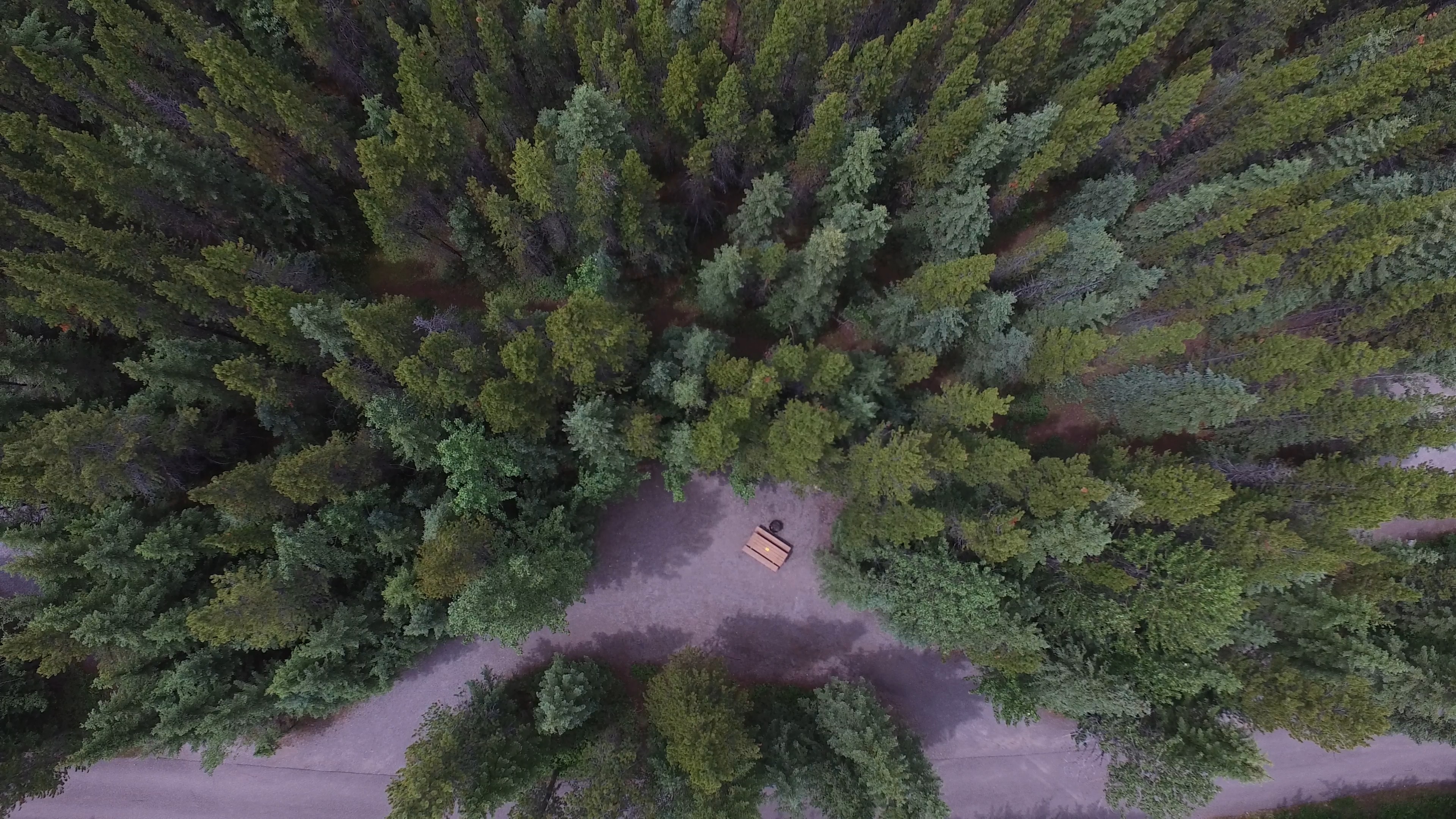 Campsite 29 in Loop C