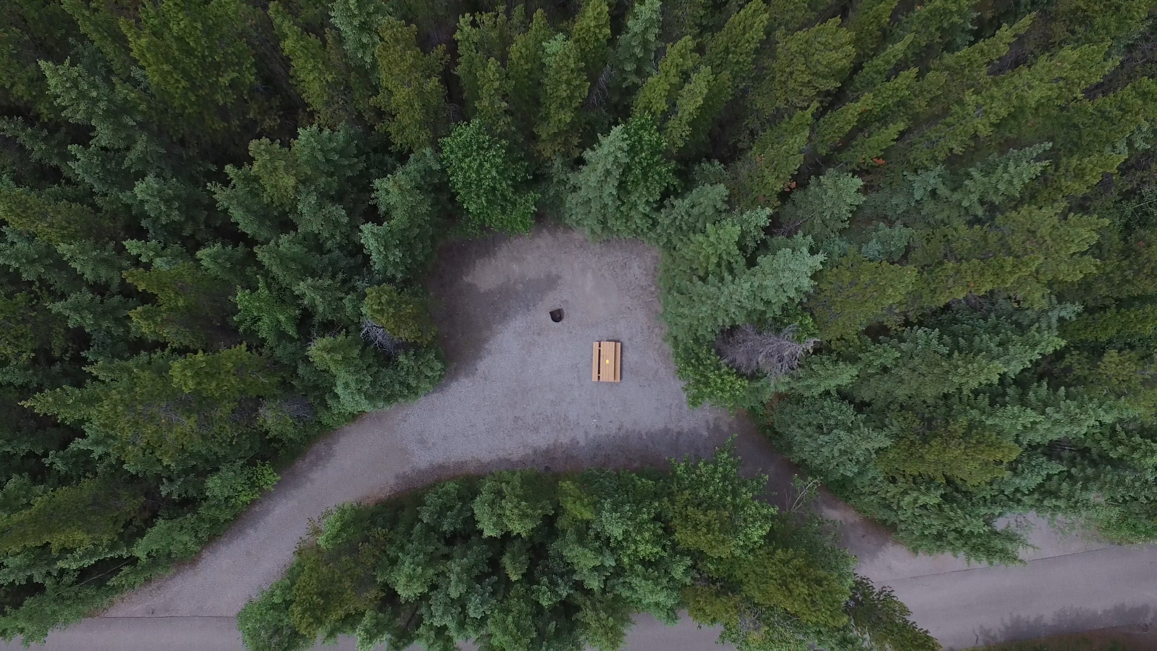 Campsite 31 in Loop C