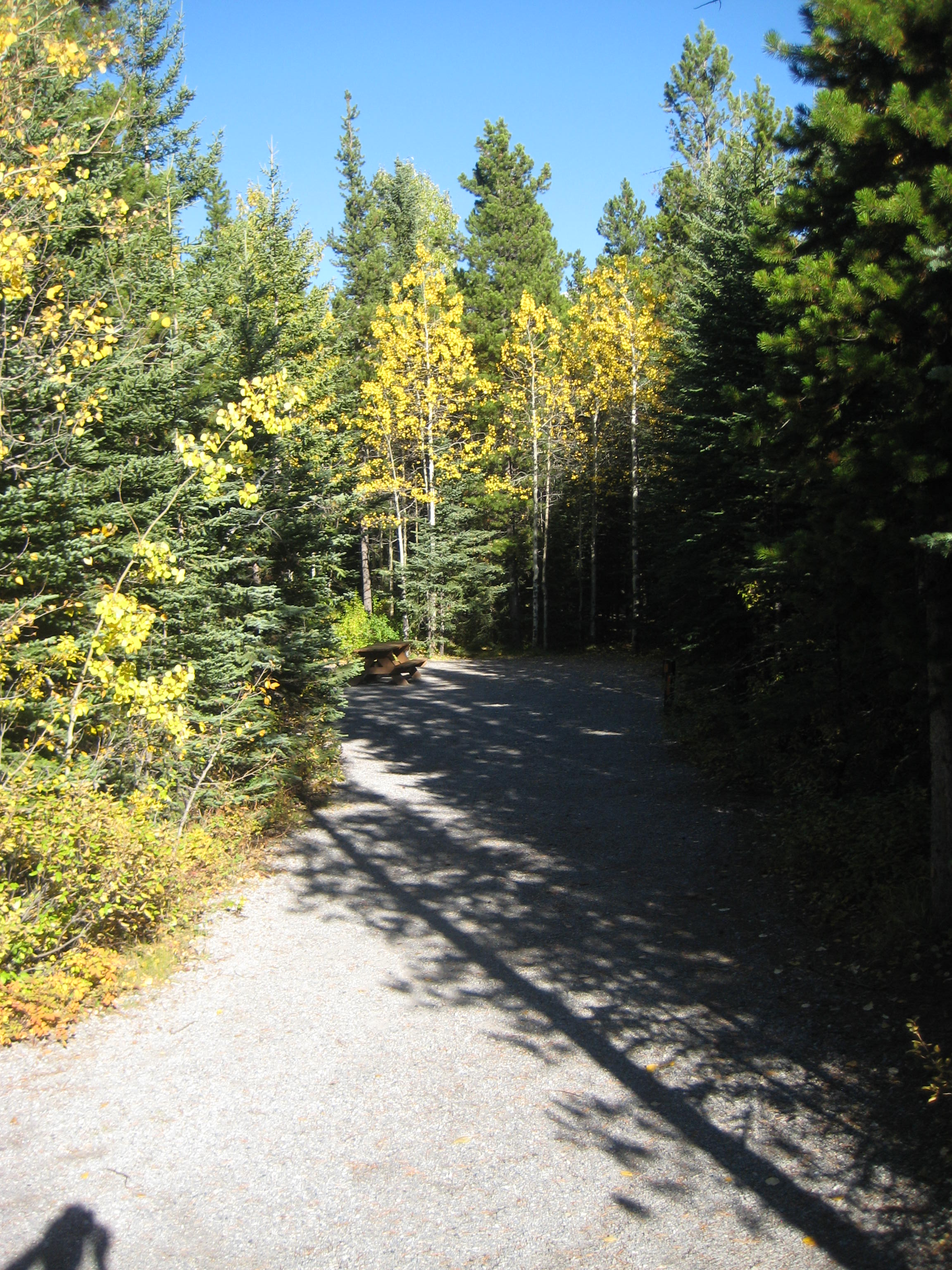 Campsite 32 in Loop C