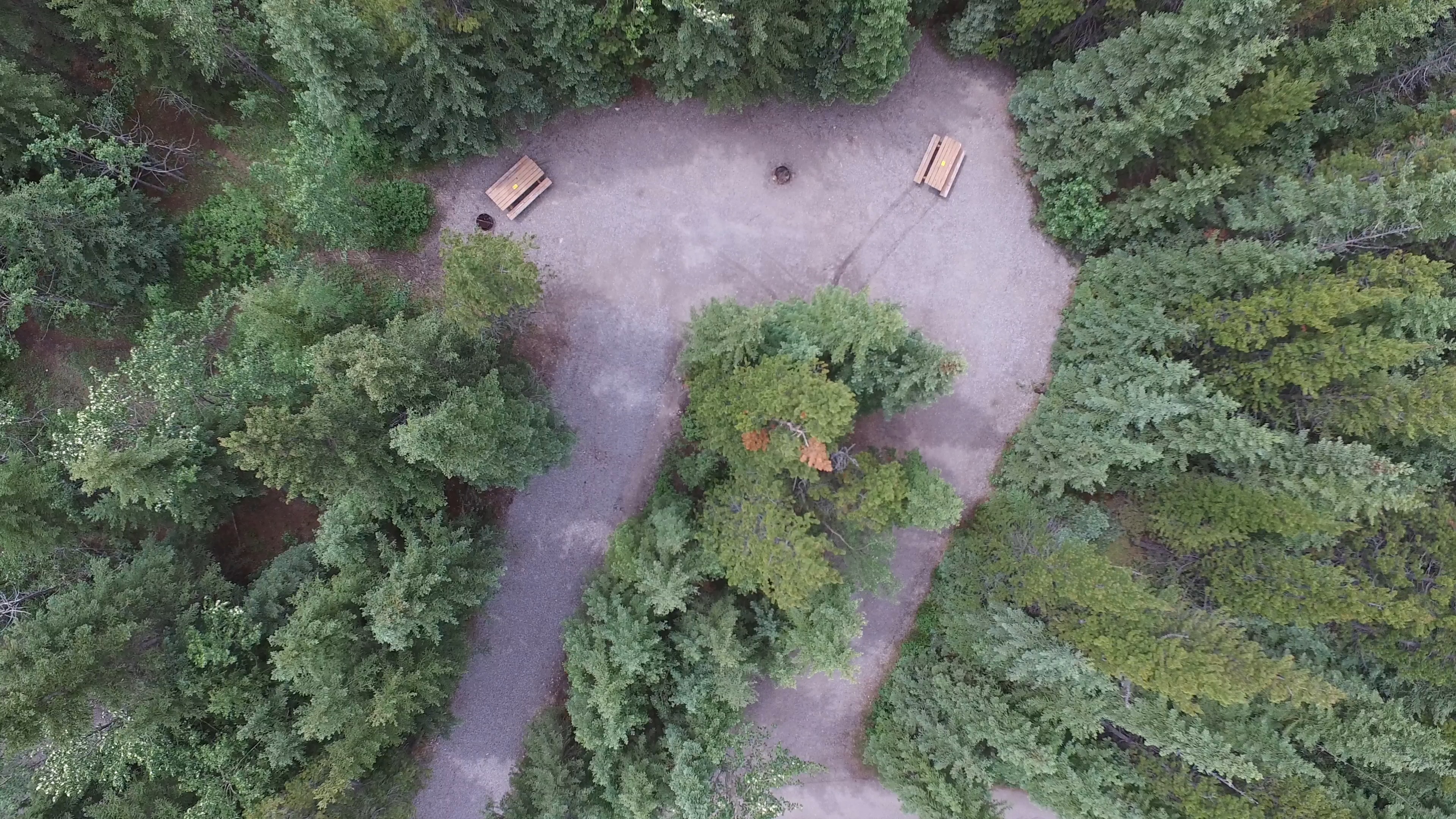Campsite 36 in Loop C