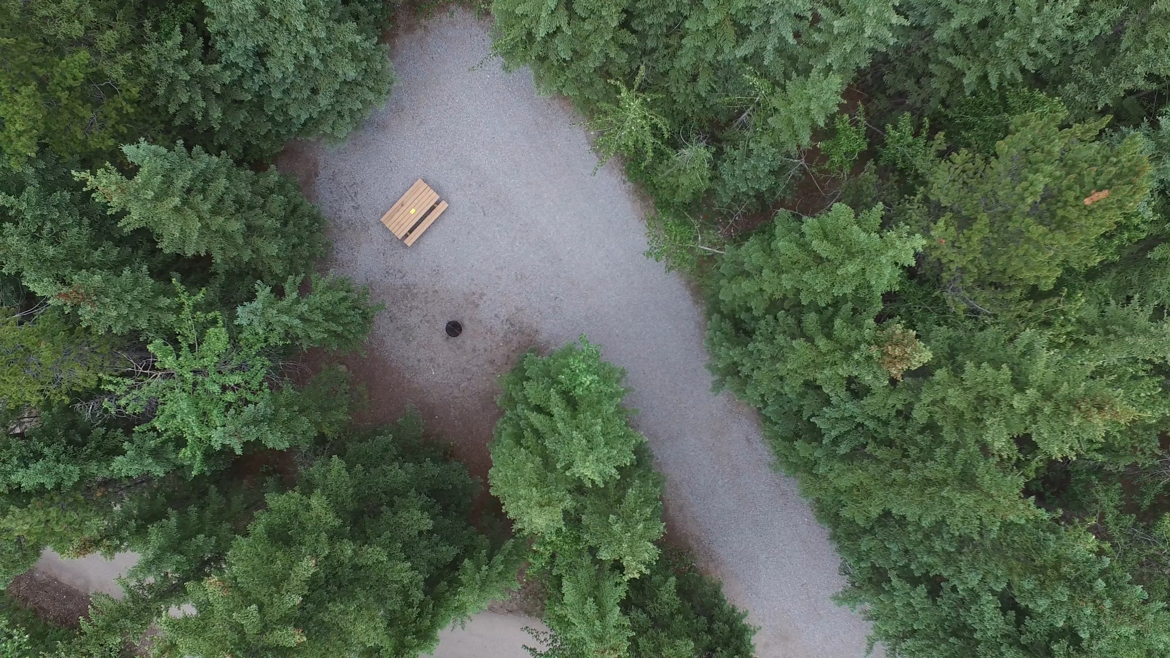 Campsite 39 in Loop C