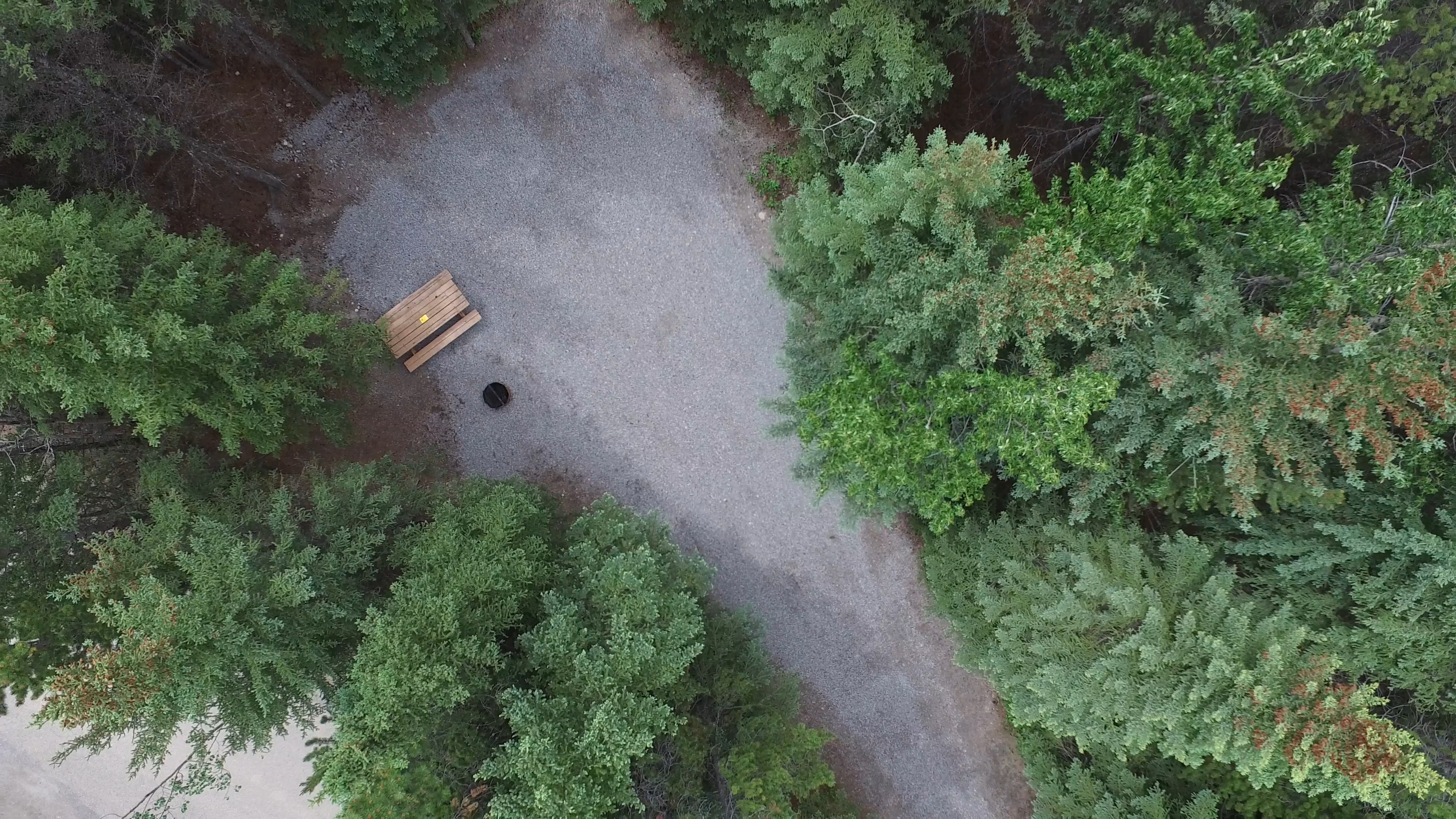 Campsite 44 in Loop C