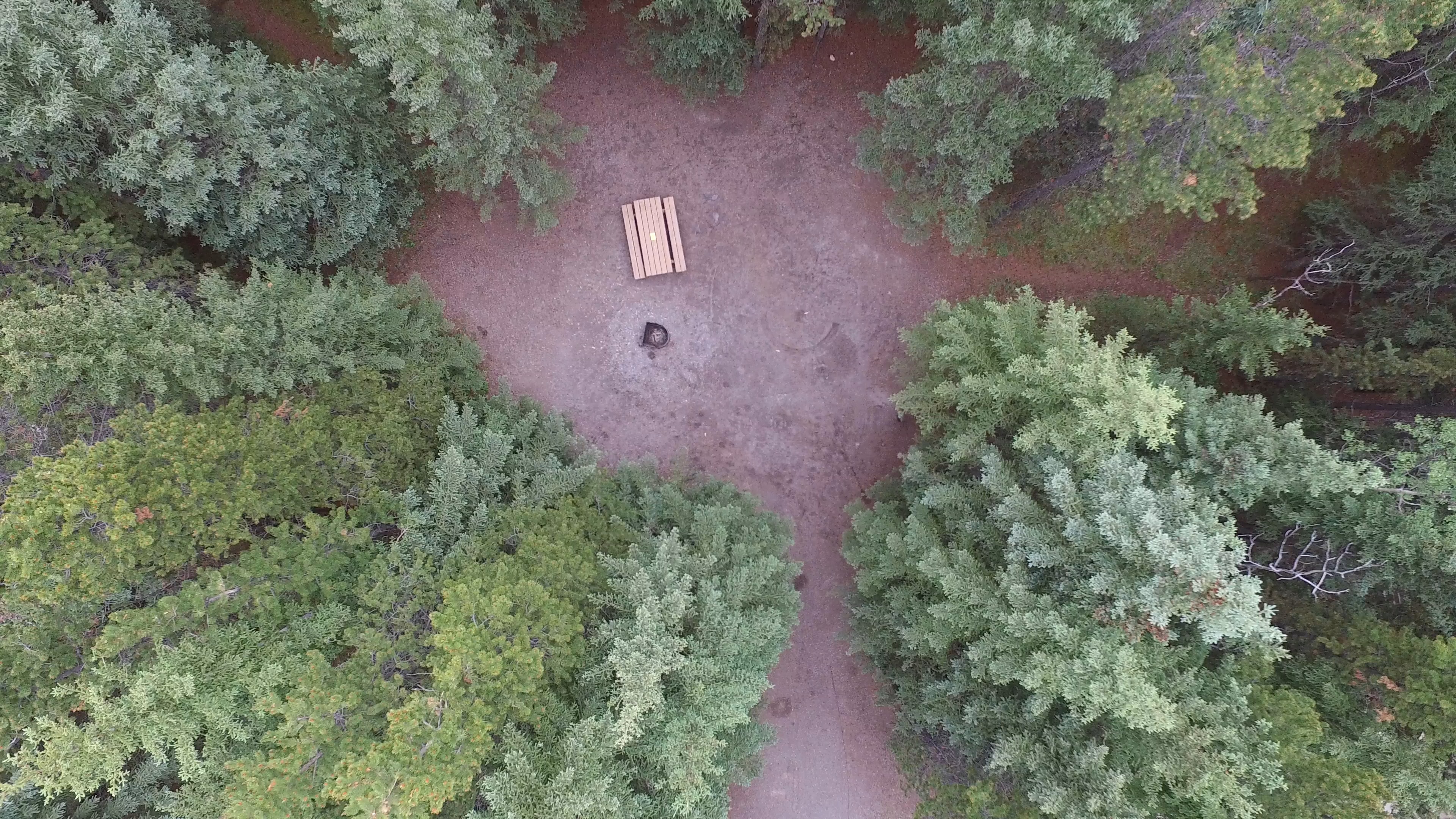Campsite 45 in Loop C