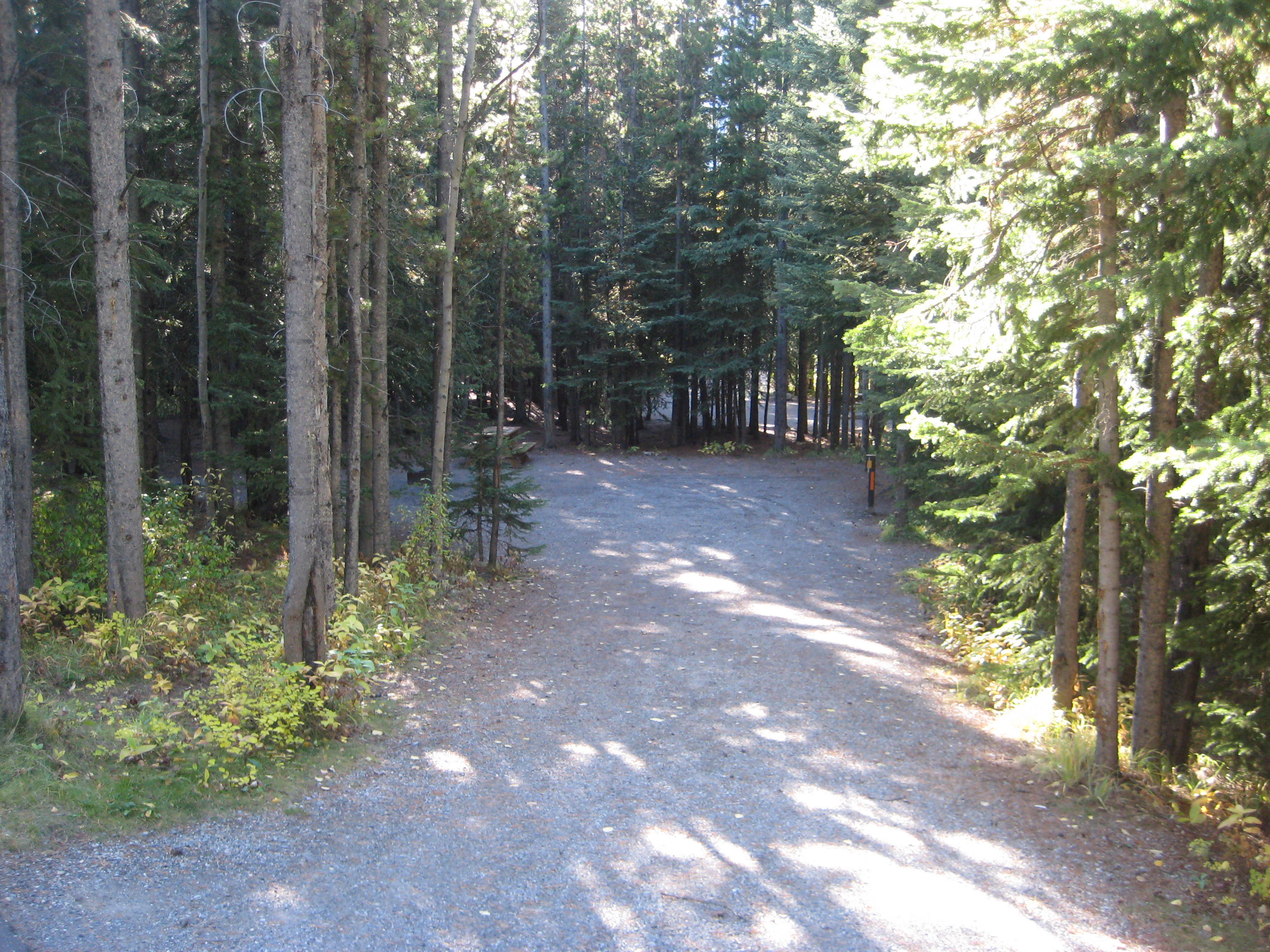 Campsite 48 in Loop C