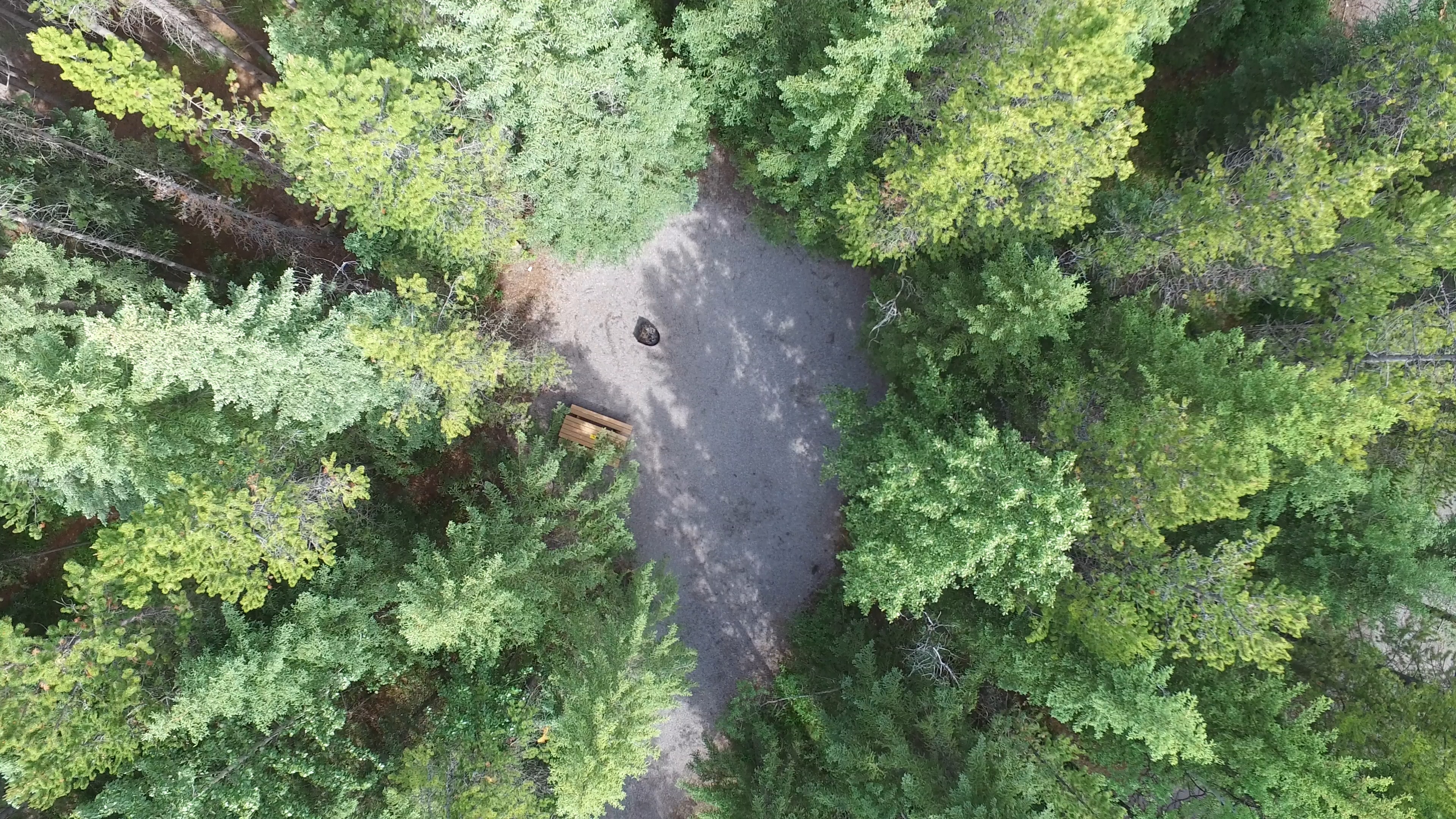 Campsite 5 in Loop C