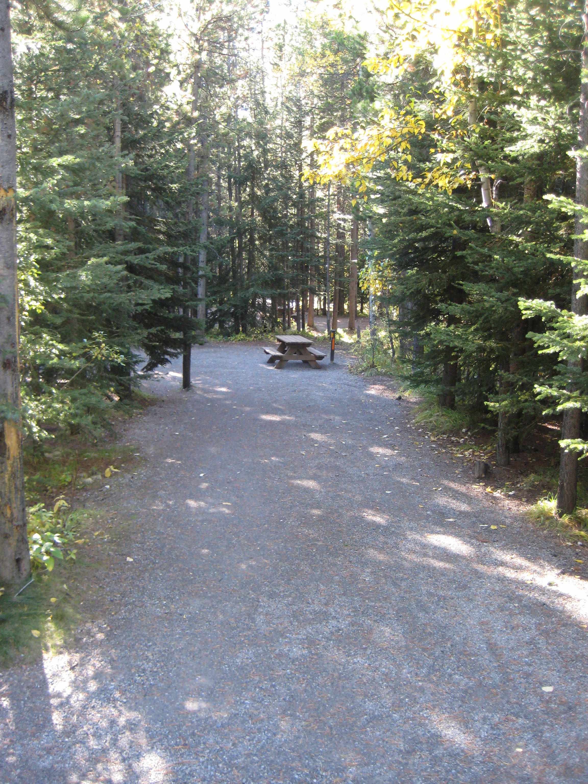 Campsite 50 in Loop C