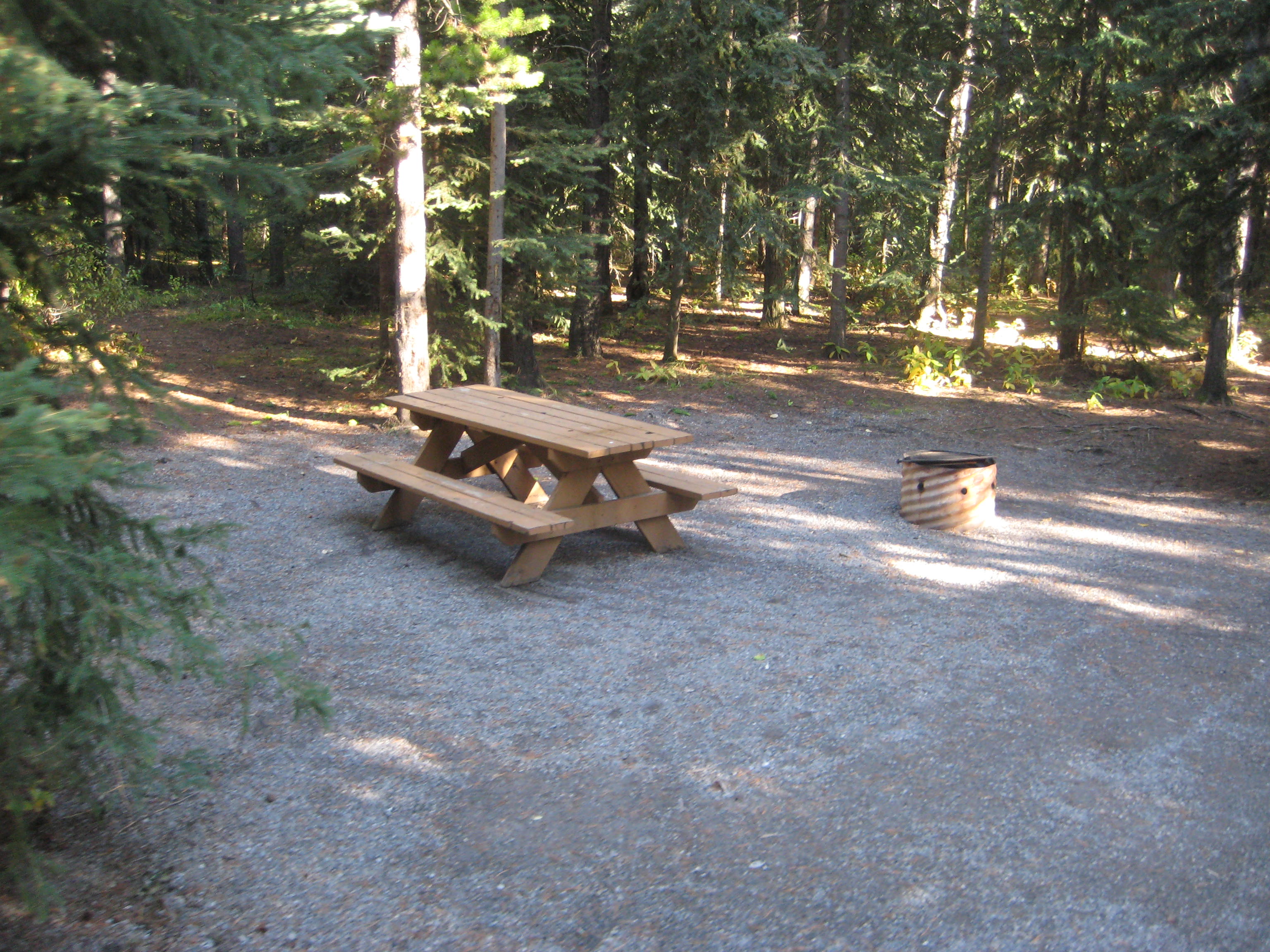 Campsite 51 in Loop C