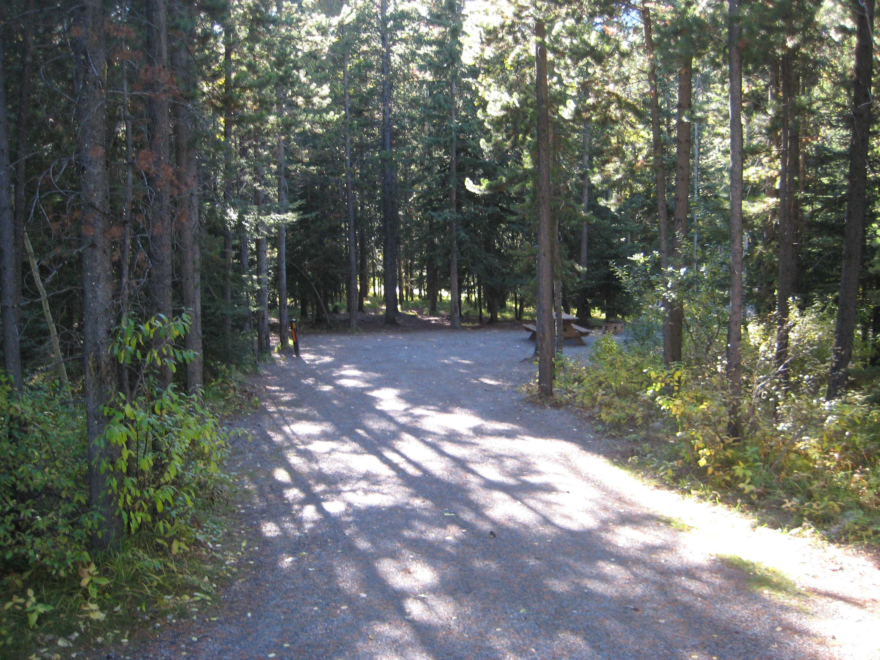 Campsite 52 in Loop C