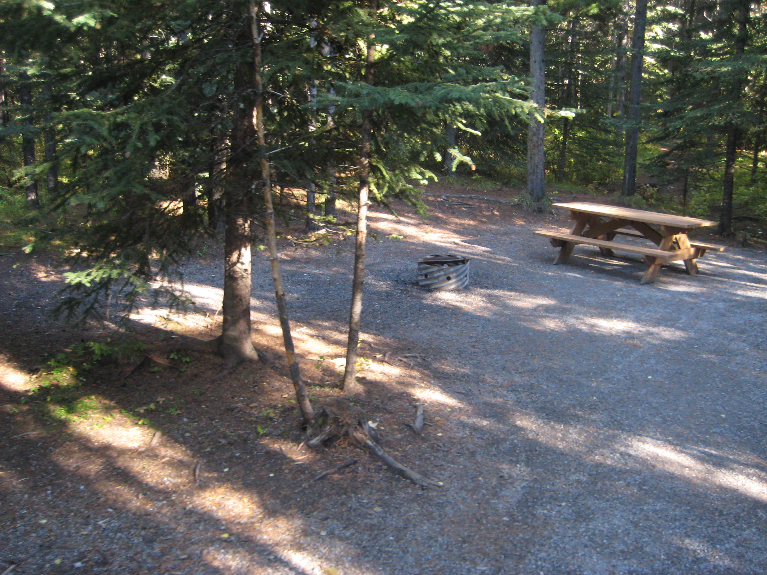 Campsite 53 in Loop C