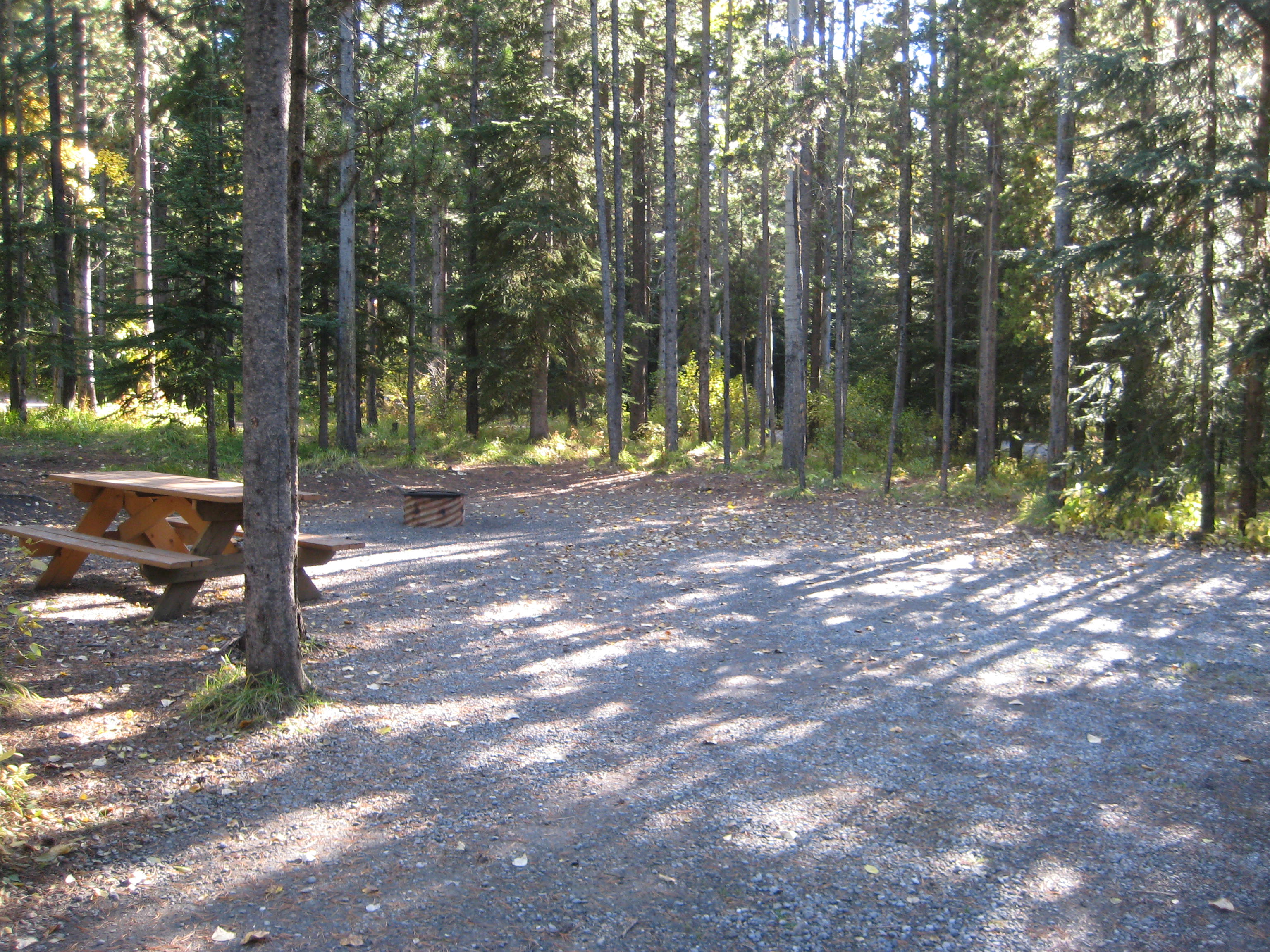 Campsite 54 in Loop C