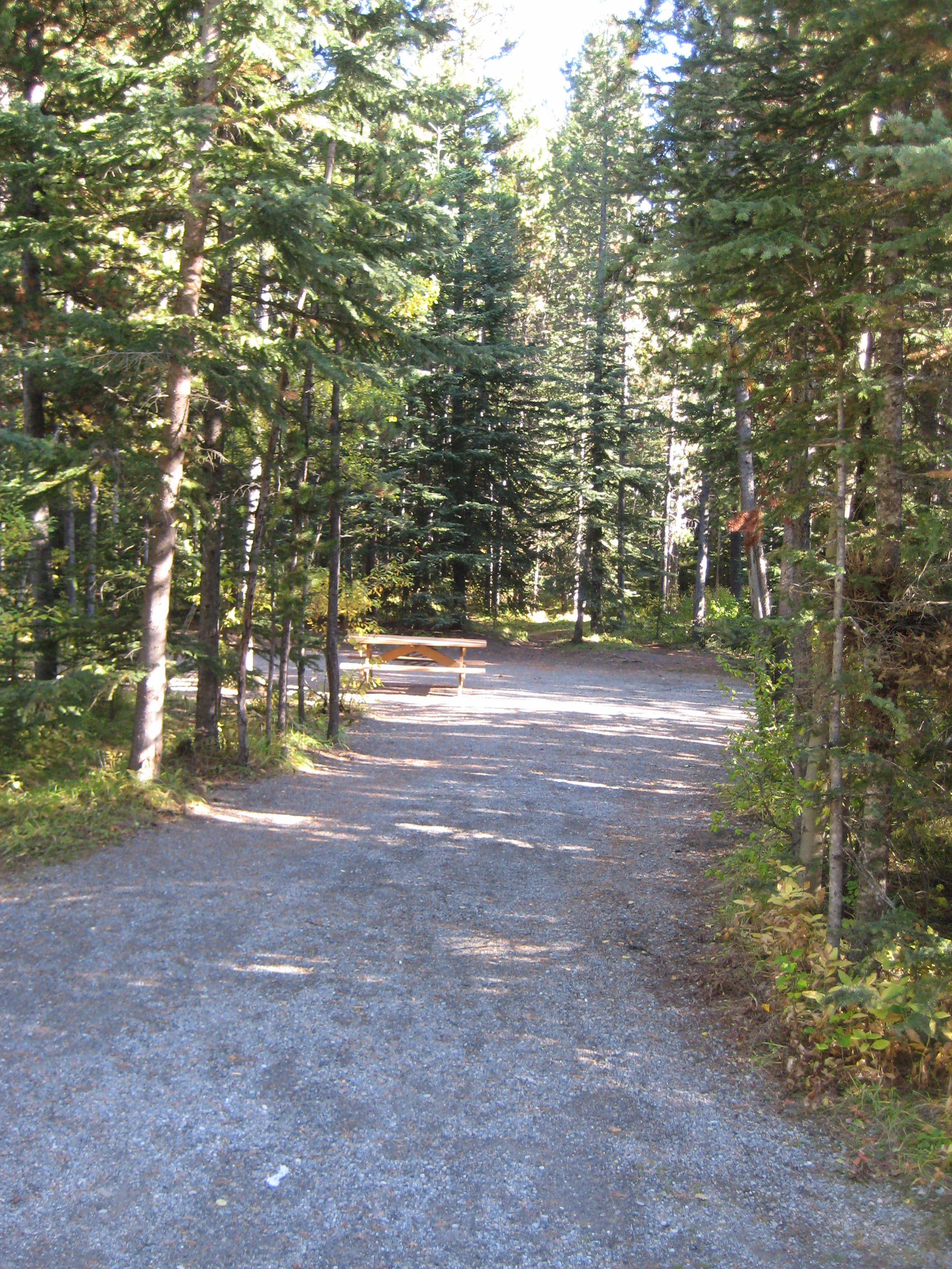 Campsite 55 in Loop C