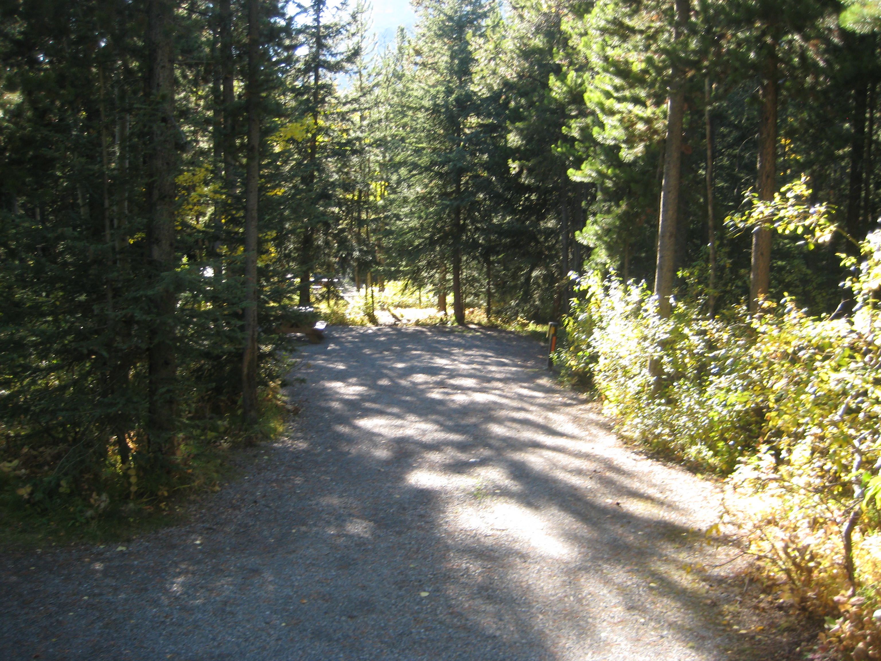 Campsite 56 in Loop C