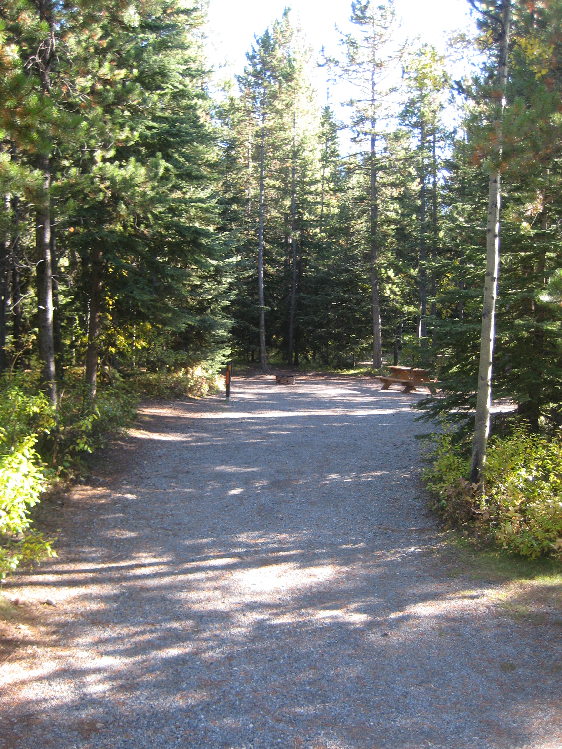 Campsite 57 in Loop C
