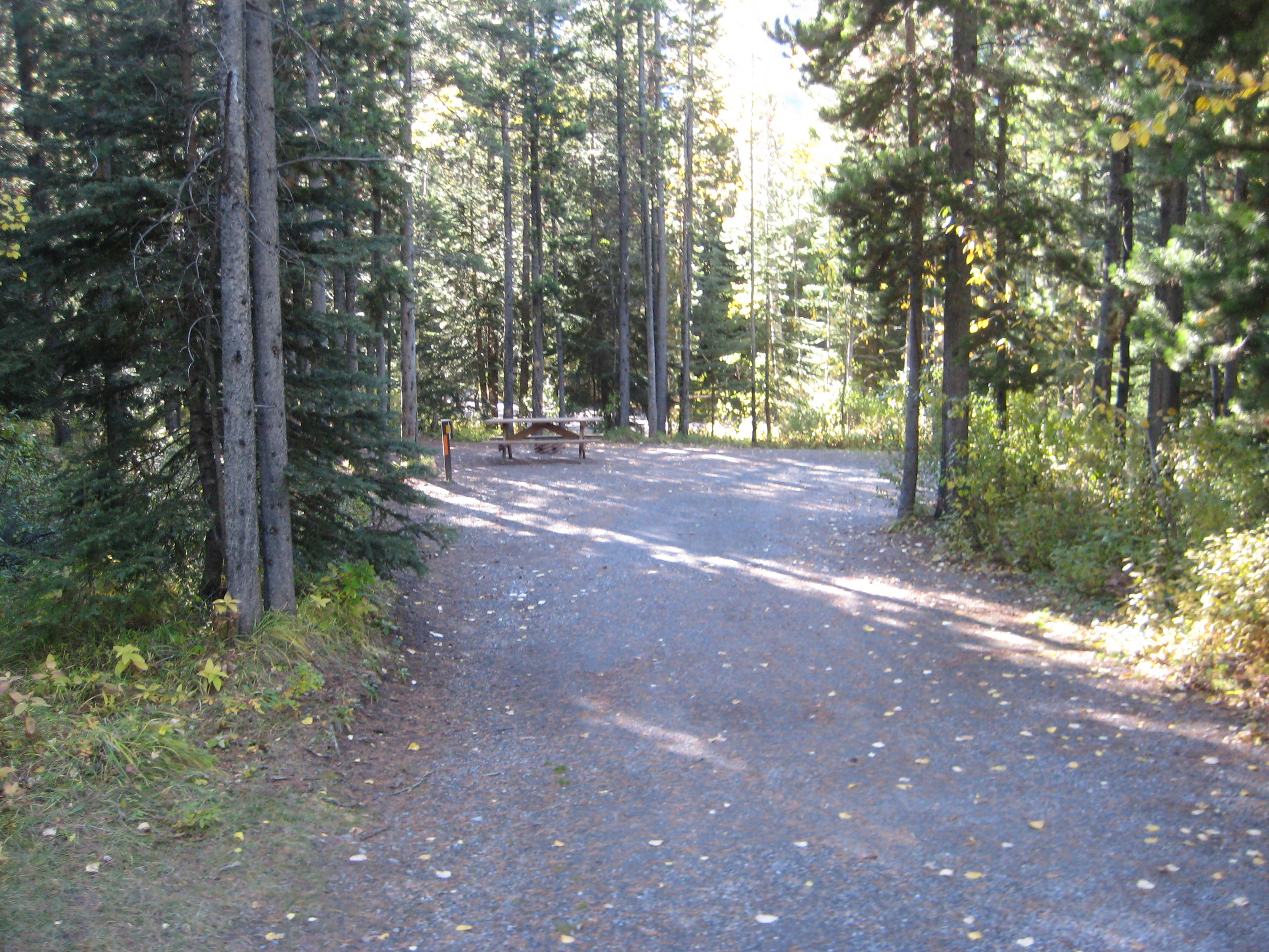 Campsite 58 in Loop C