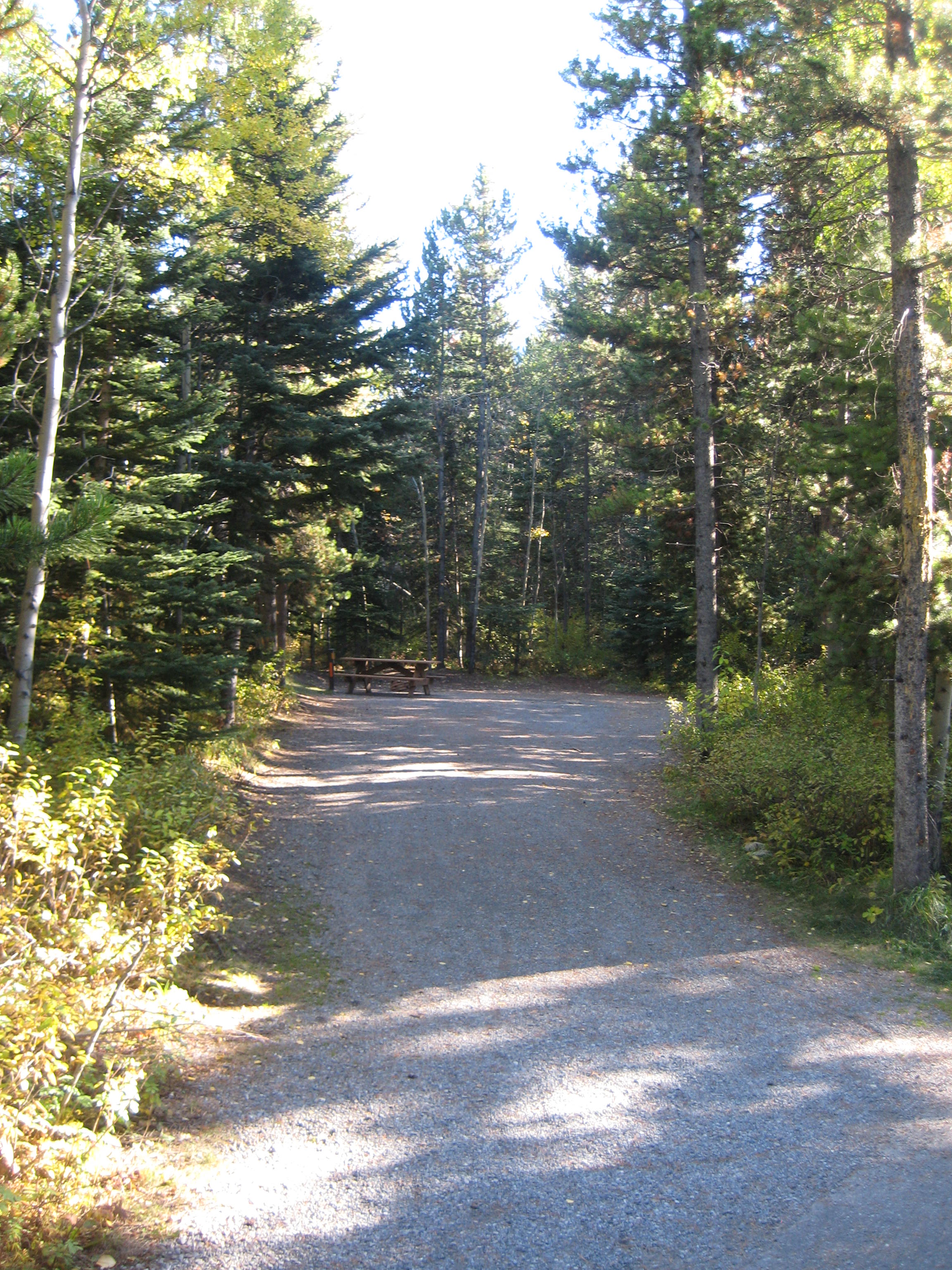 Campsite 59 in Loop C
