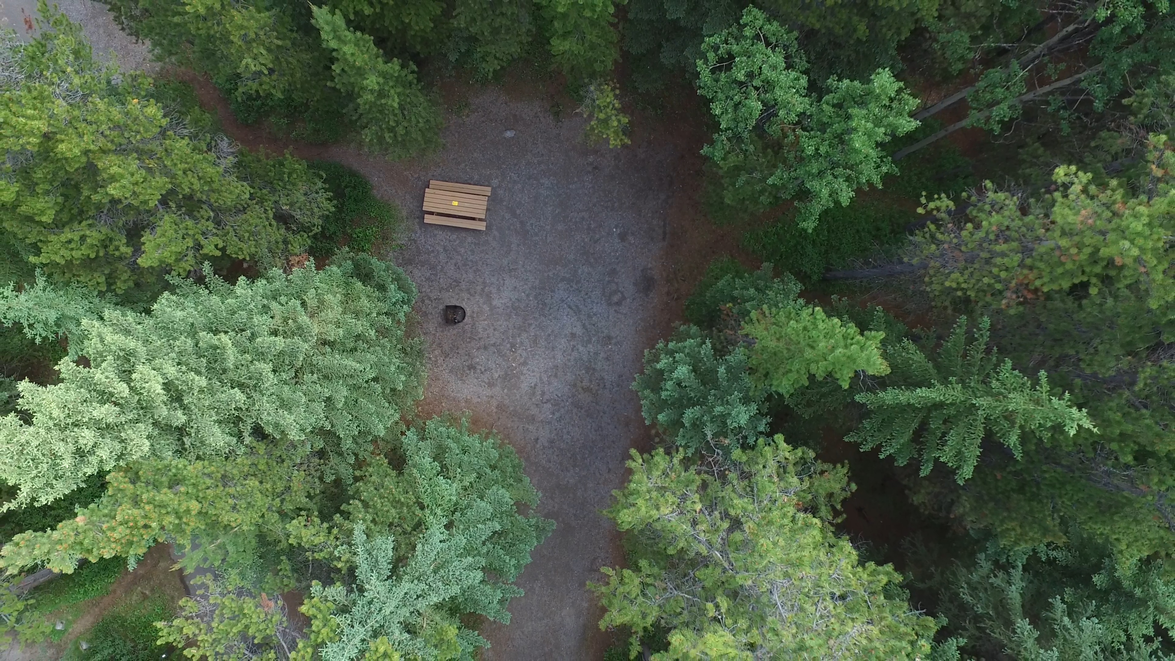 Campsite 6 in Loop C