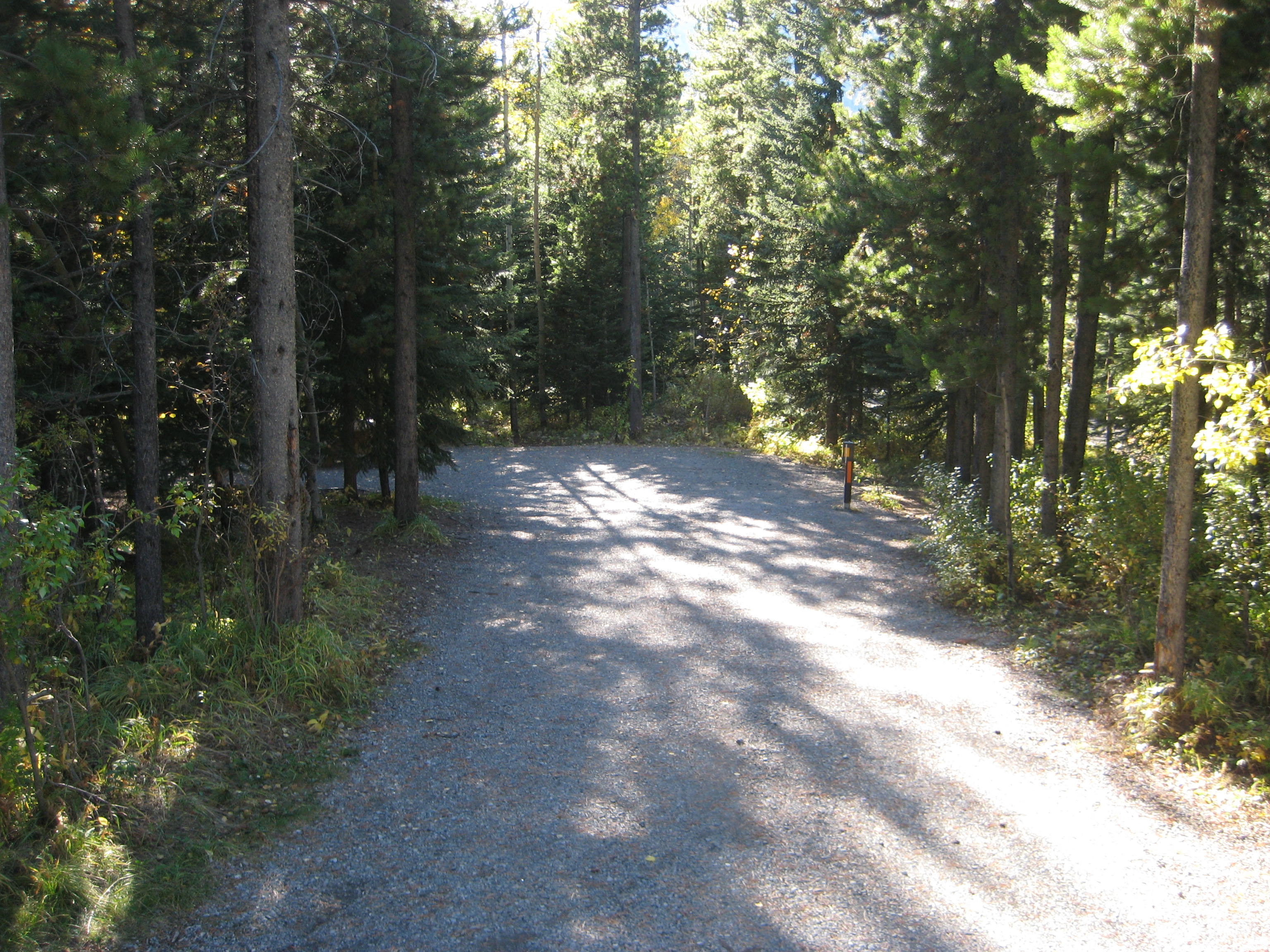 Campsite 60 in Loop C