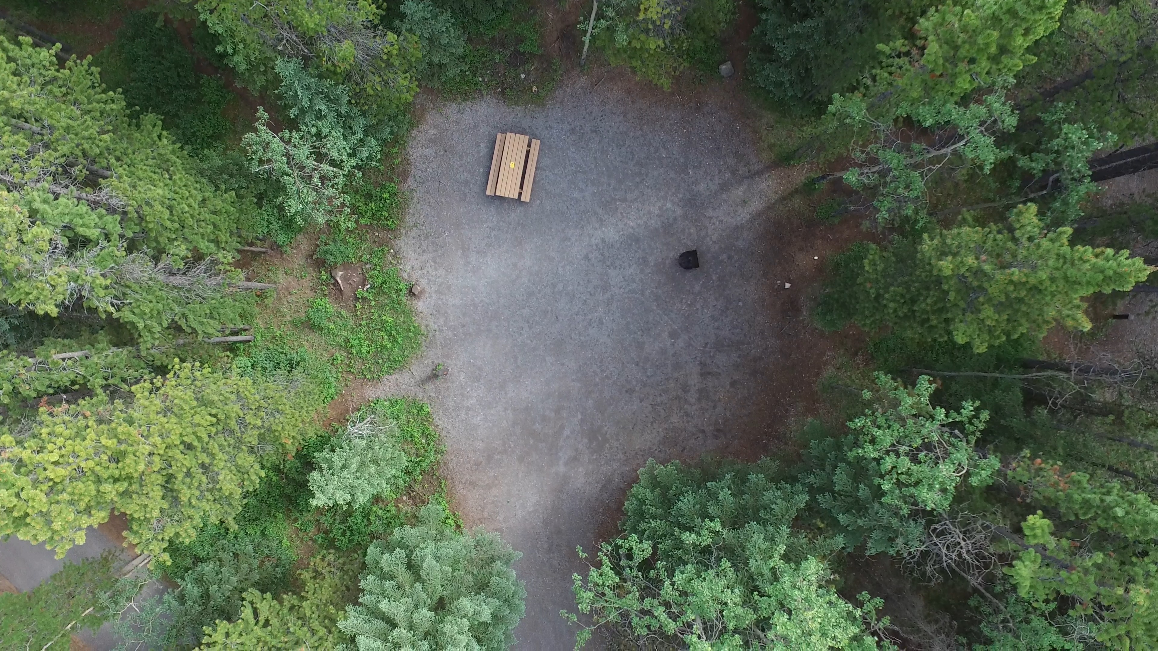 Campsite 8 in Loop C