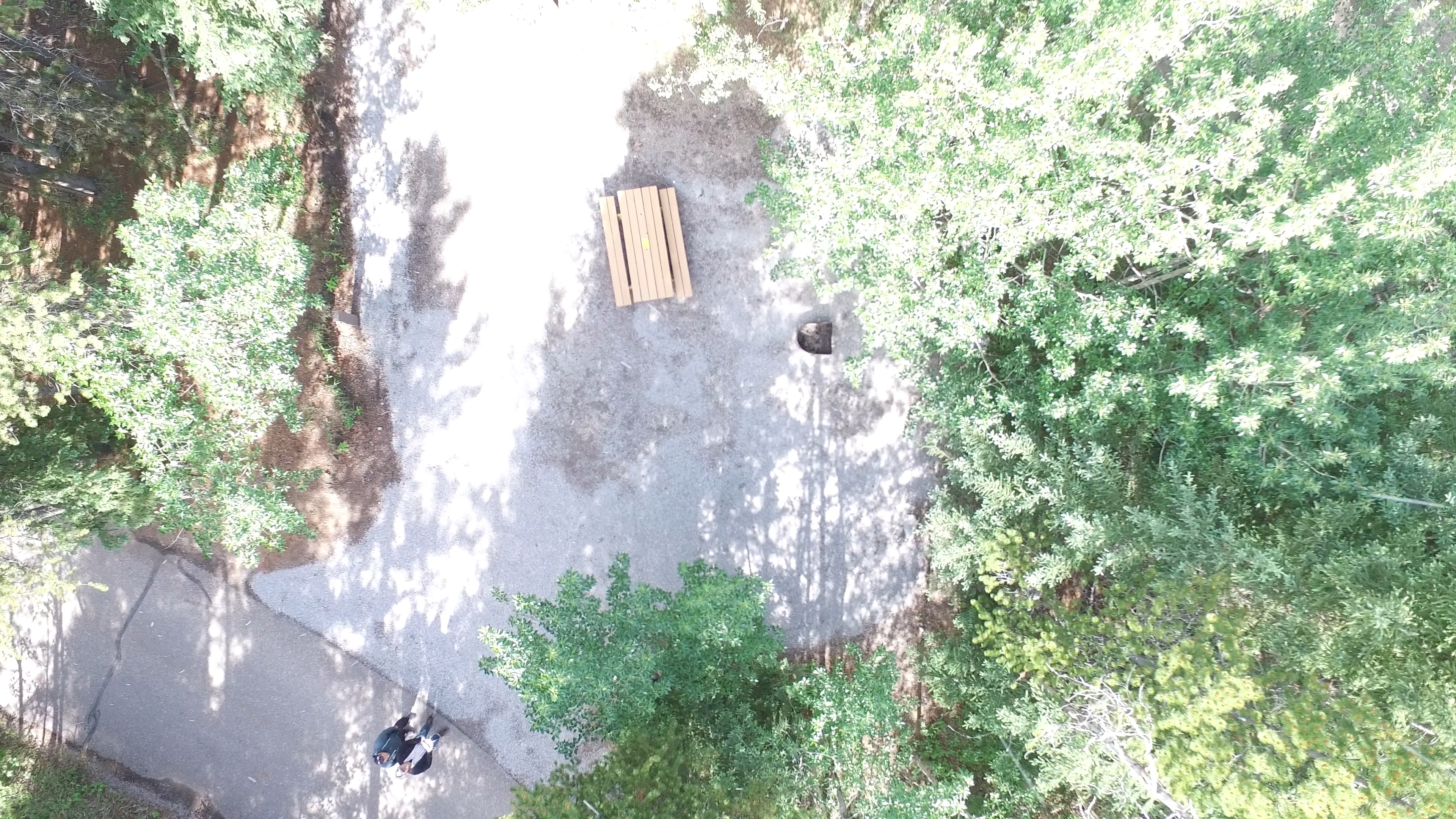 Campsite 1 in Loop D
