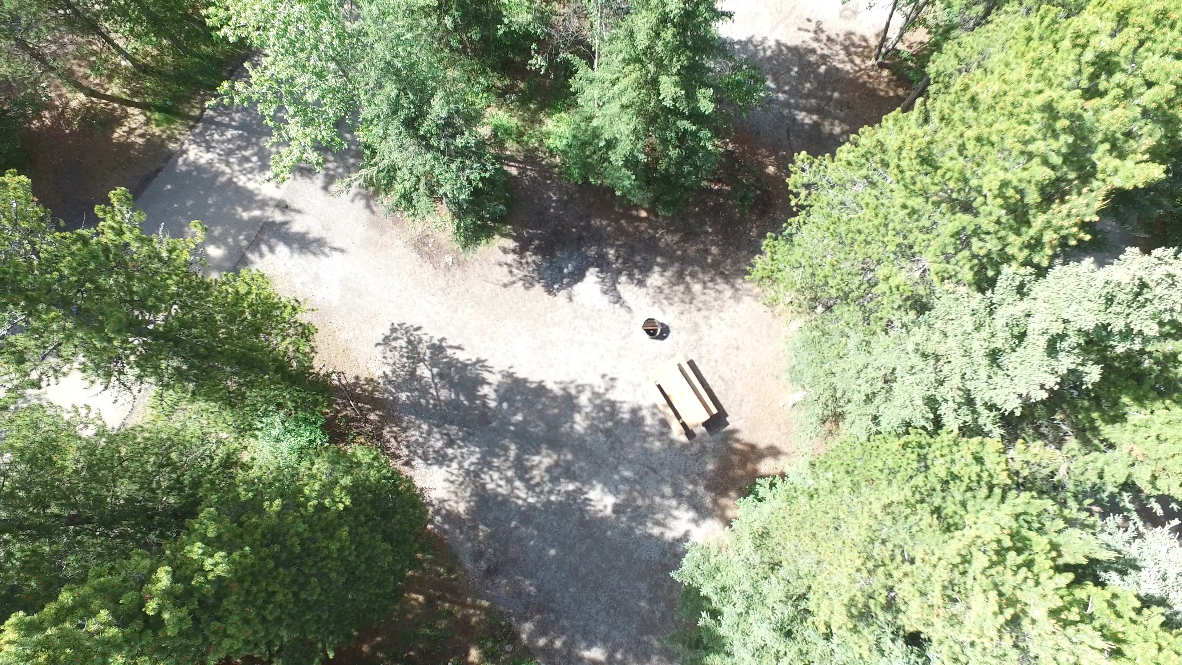 Campsite 11 in Loop D