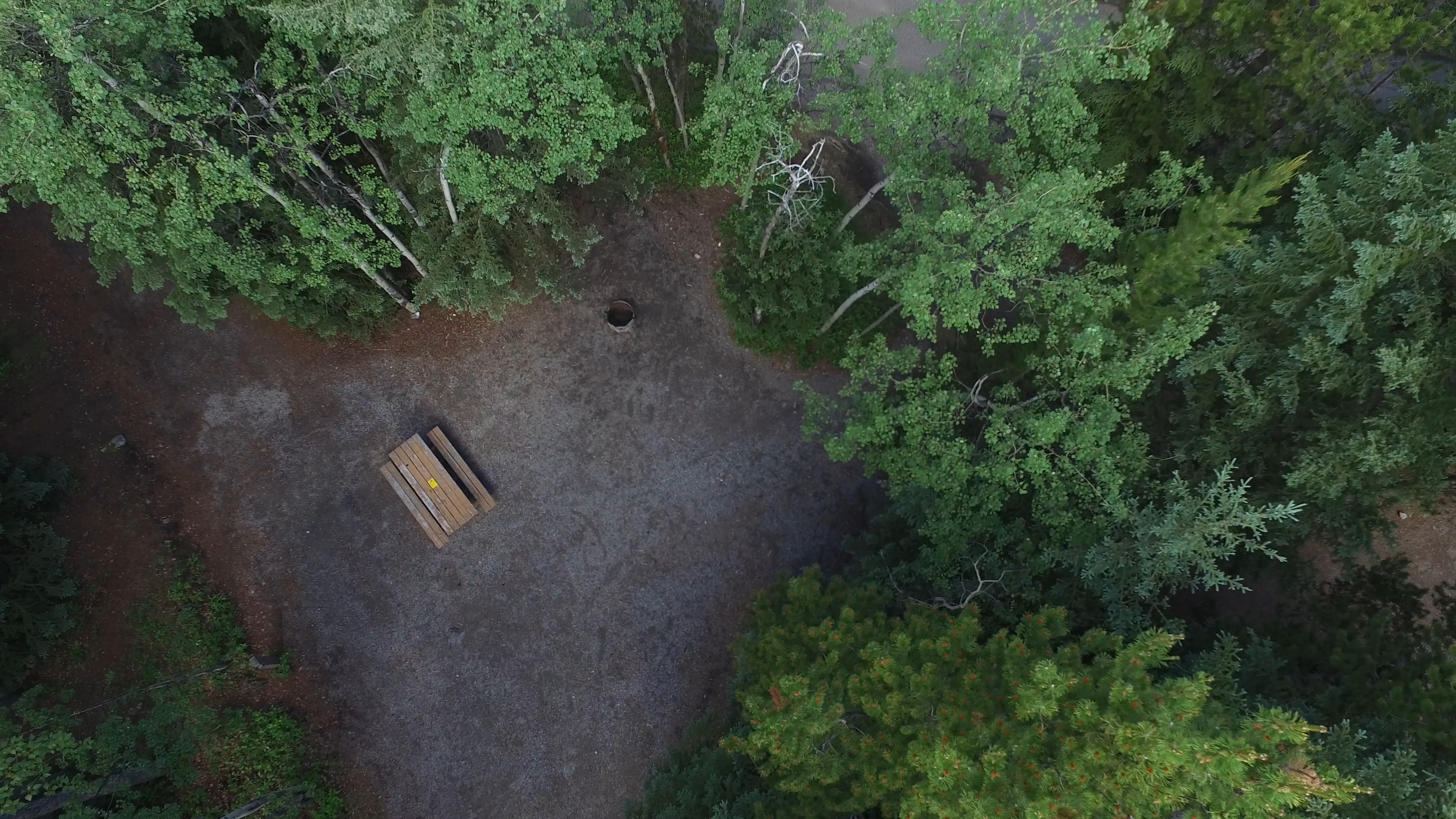 Campsite 12 in Loop D