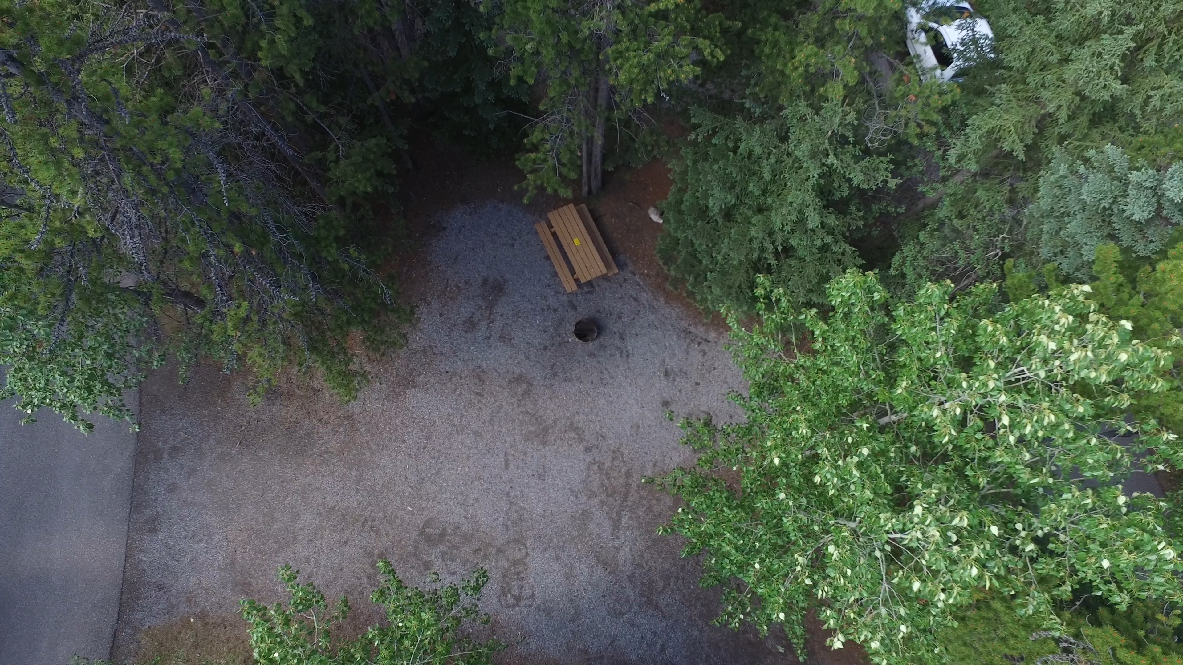 Campsite 13 in Loop D